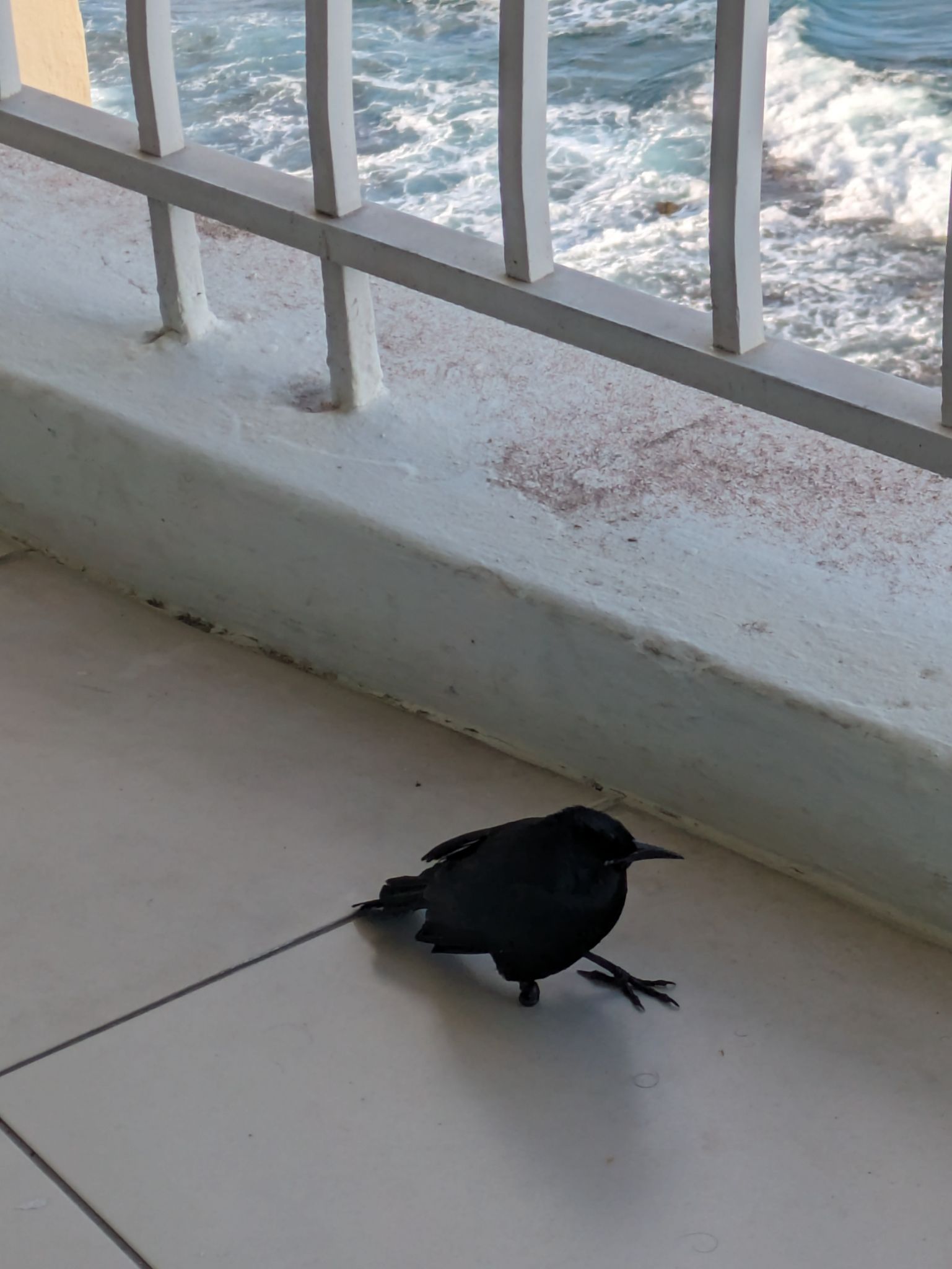 PXL 20240303 115324646