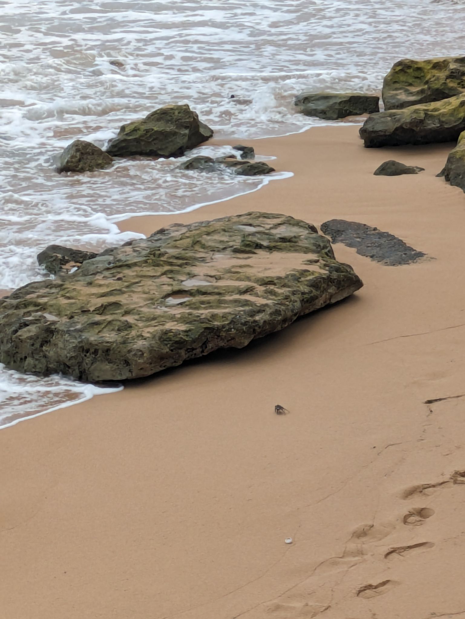 PXL 20240303 162116203