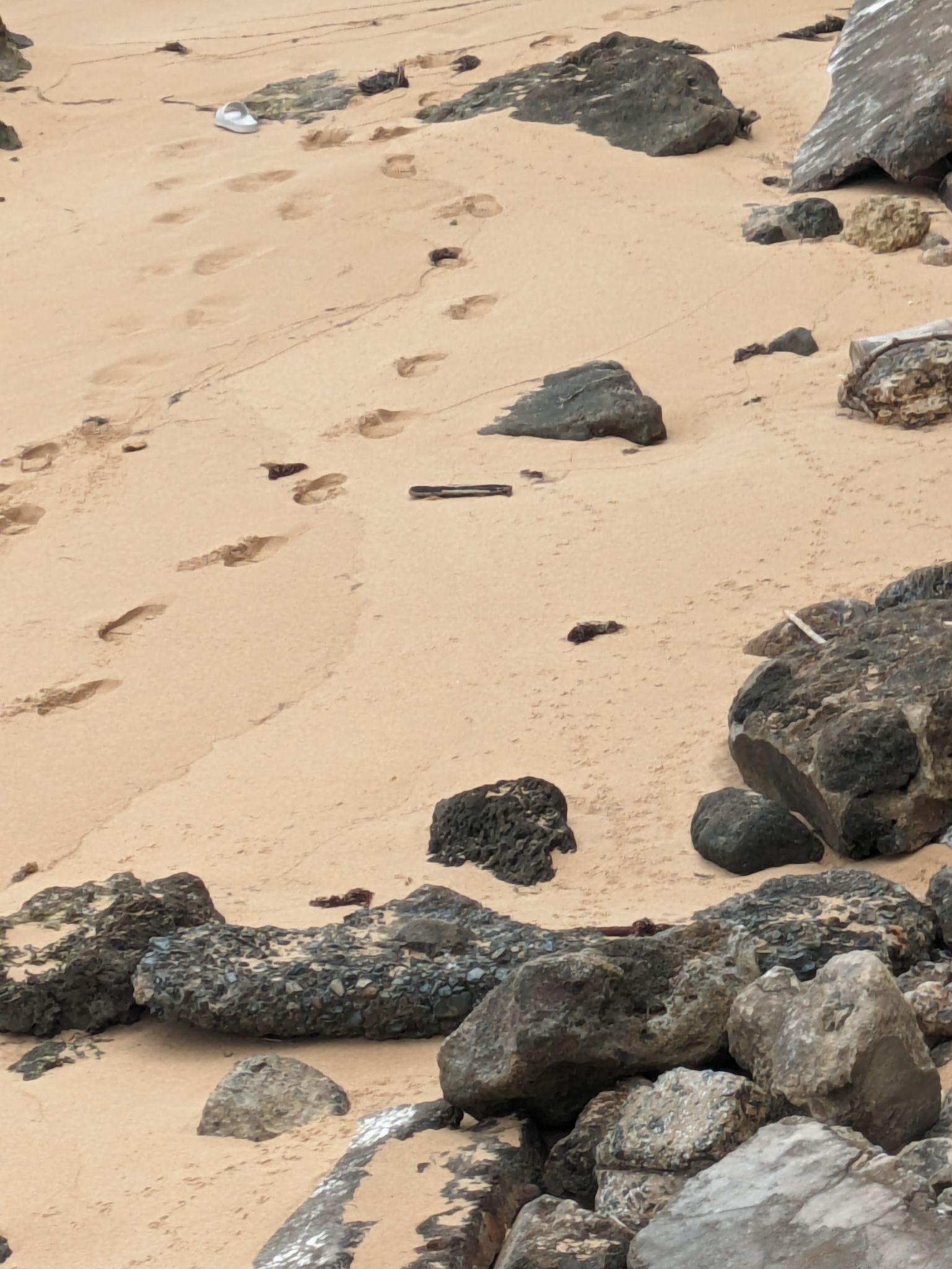 PXL 20240303 162127473