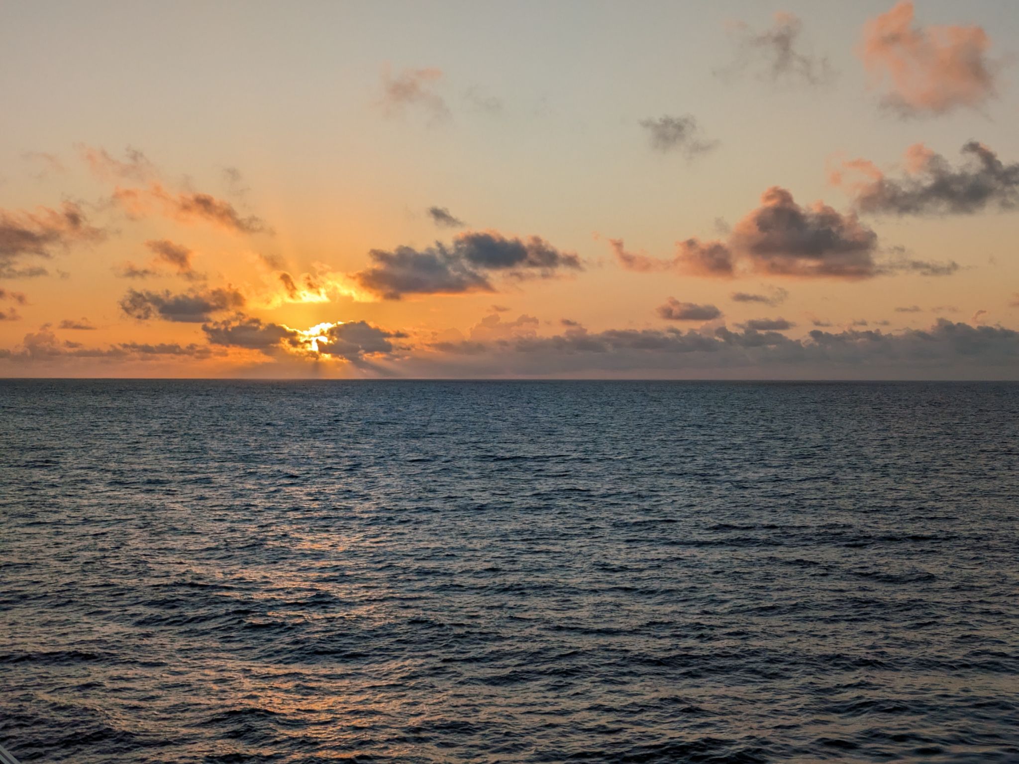 PXL 20240309 103908681