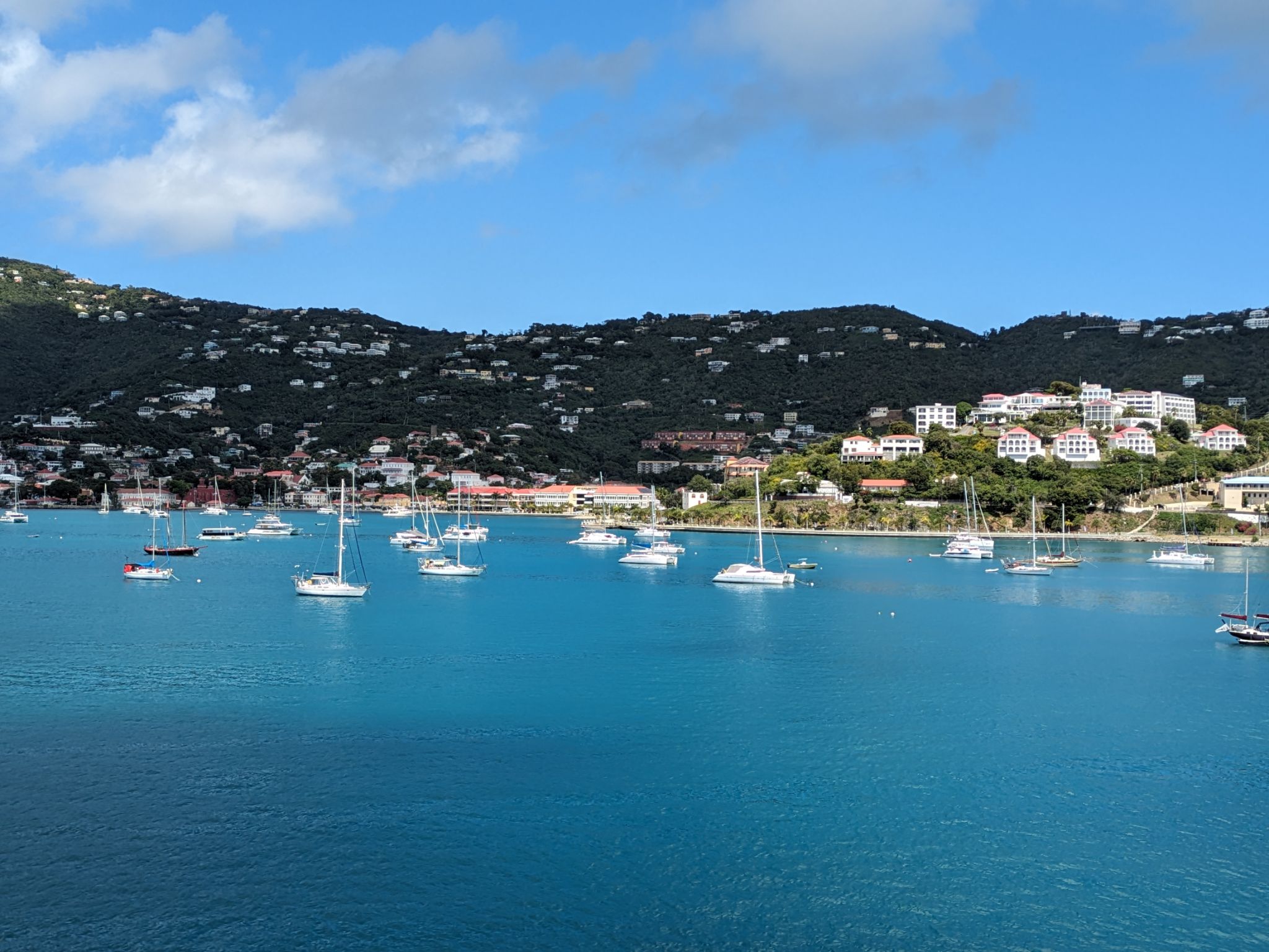 PXL 20240309 151735658