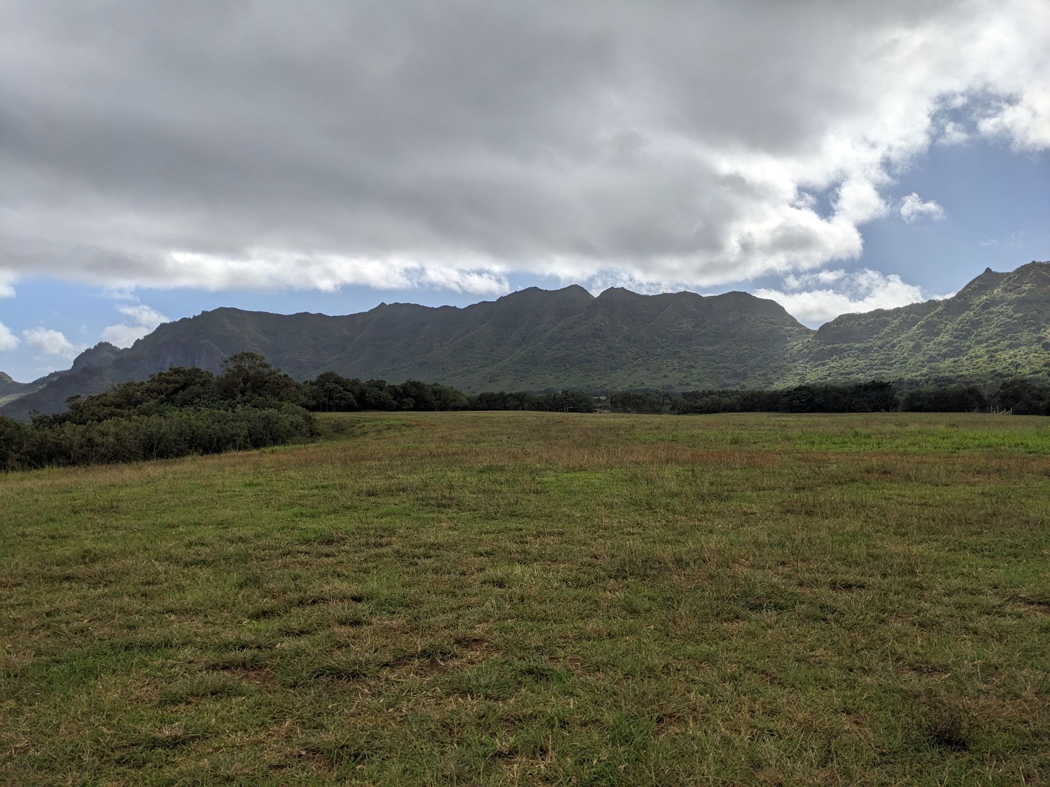 PXL 20230120 203410078