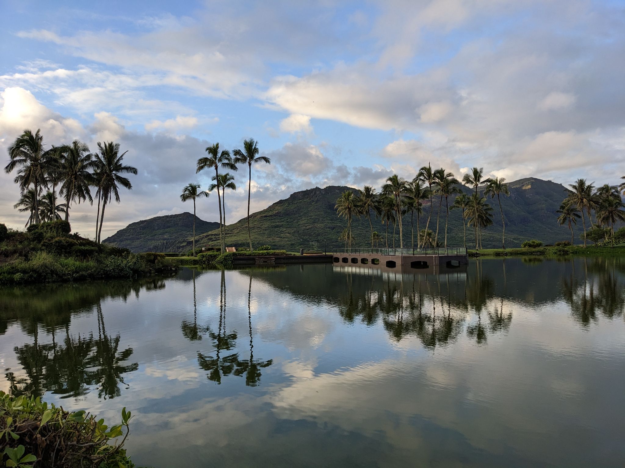 PXL 20230122 175356203