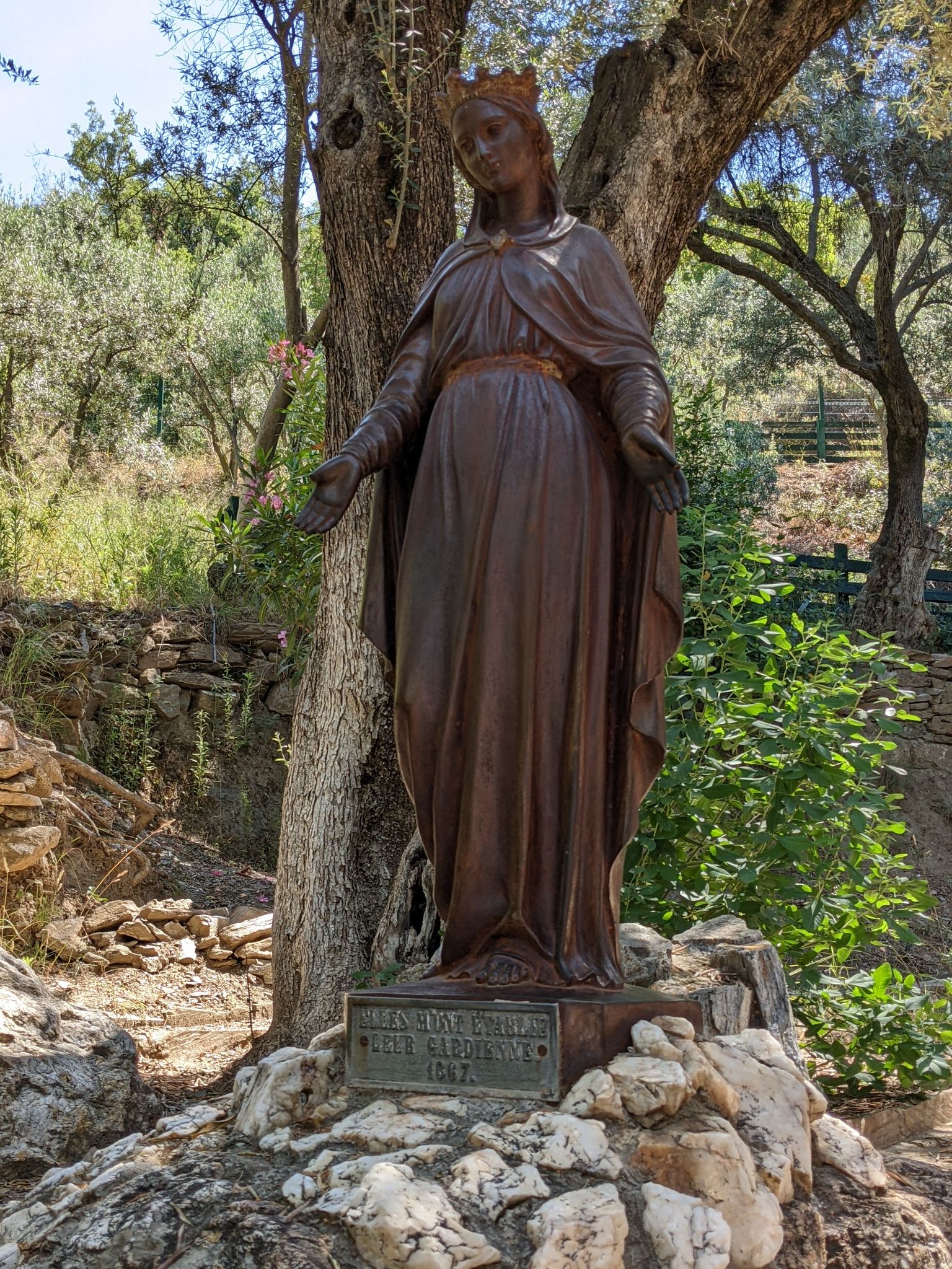 PXL 20220615 081333729