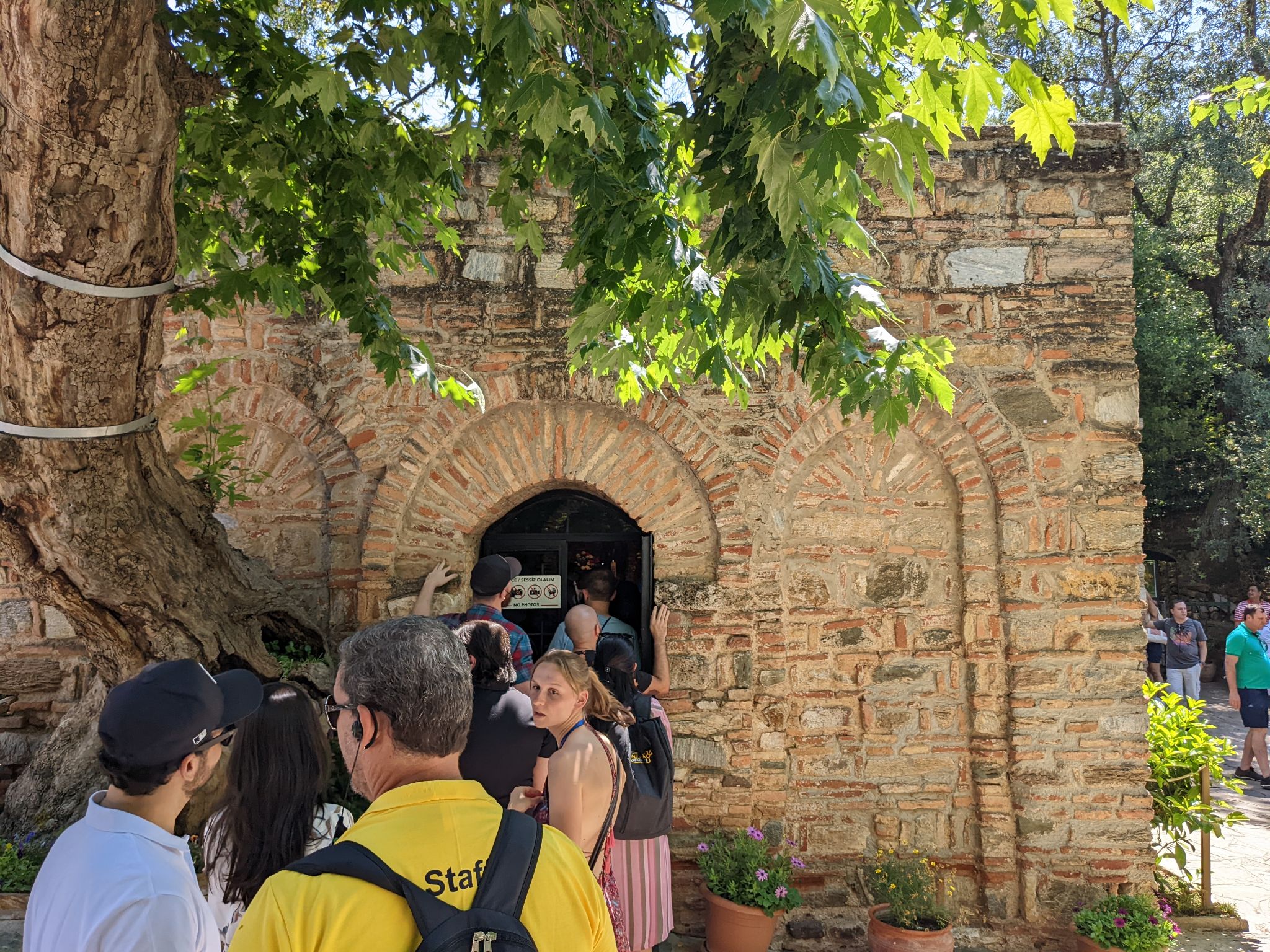 PXL 20220615 083229488.MP