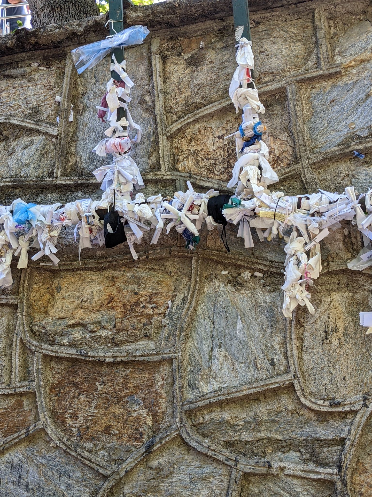 PXL 20220615 084003225