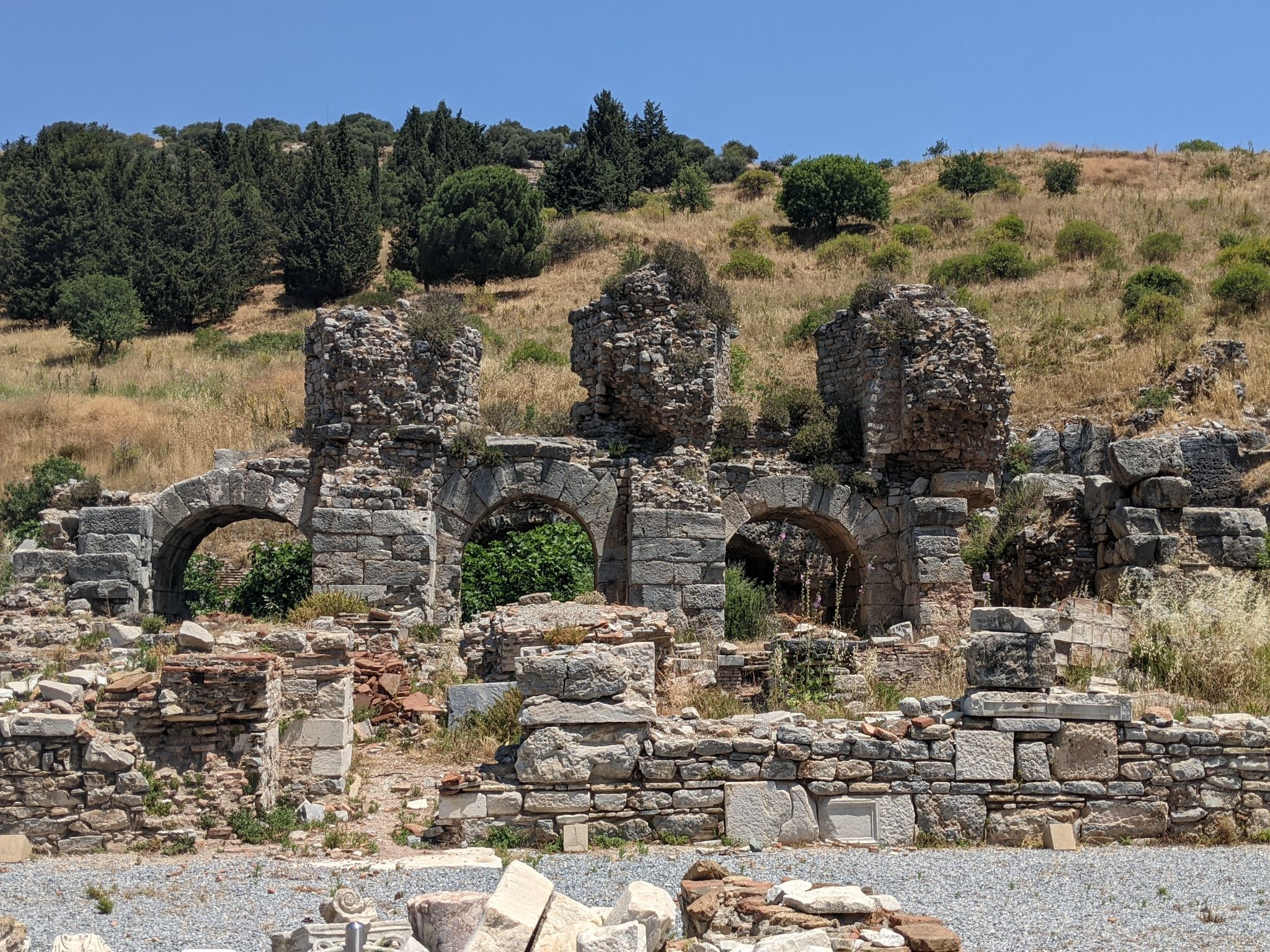 PXL 20220615 091209787