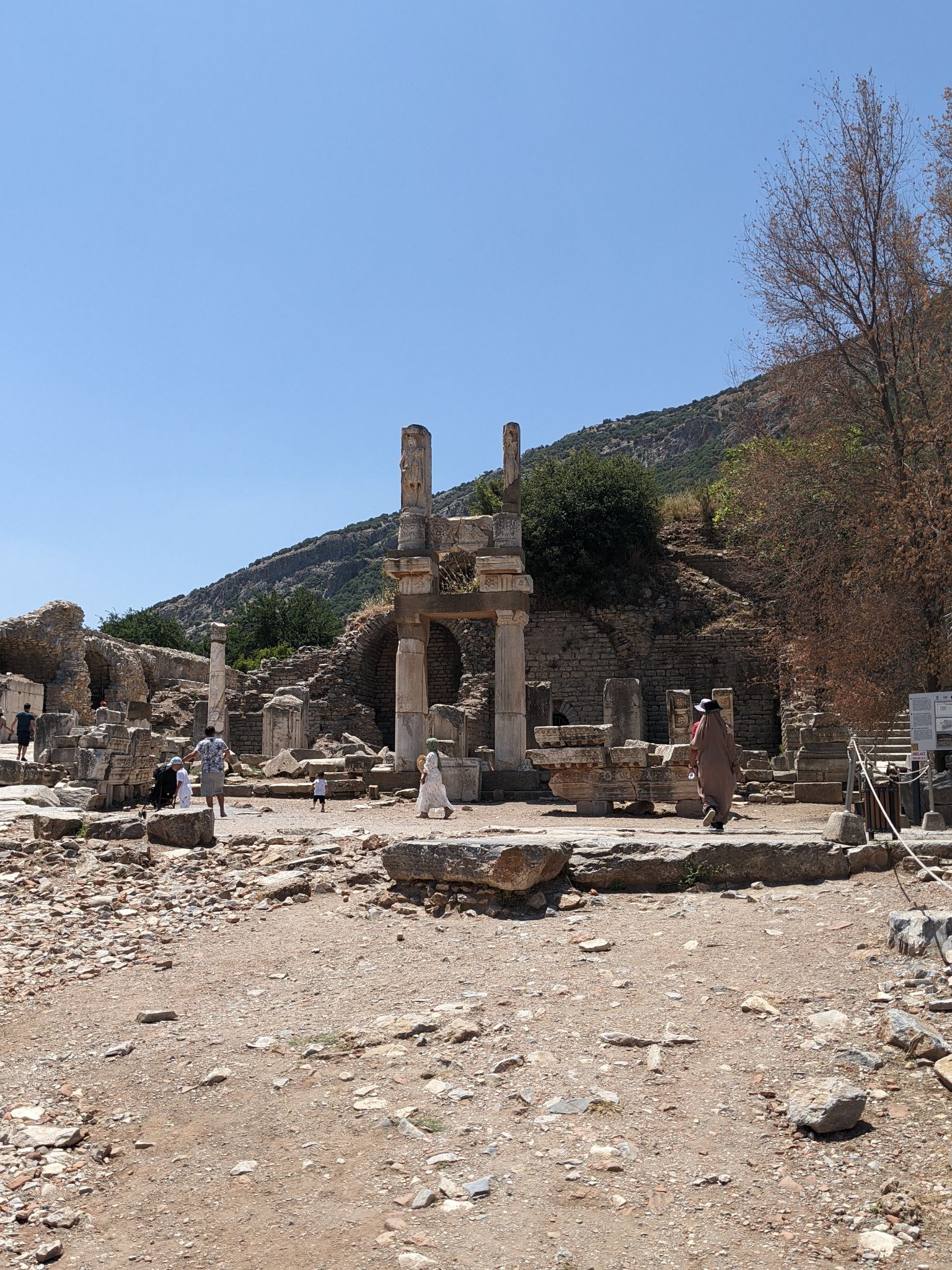 PXL 20220615 092534730