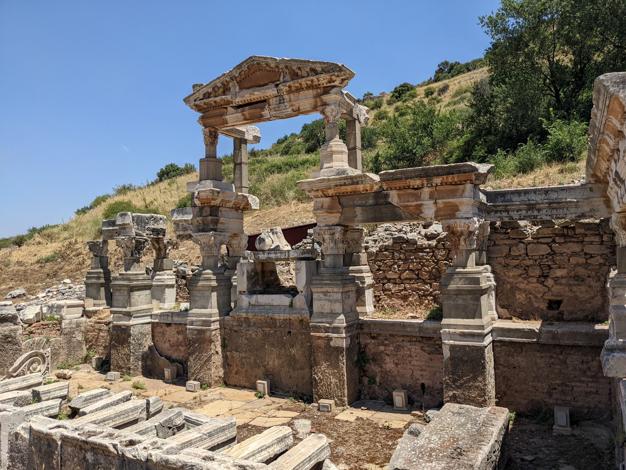 PXL 20220615 093348417