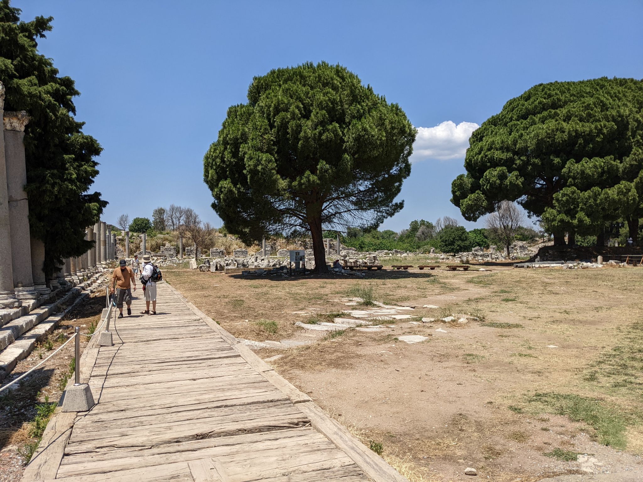 PXL 20220615 095824565.MP