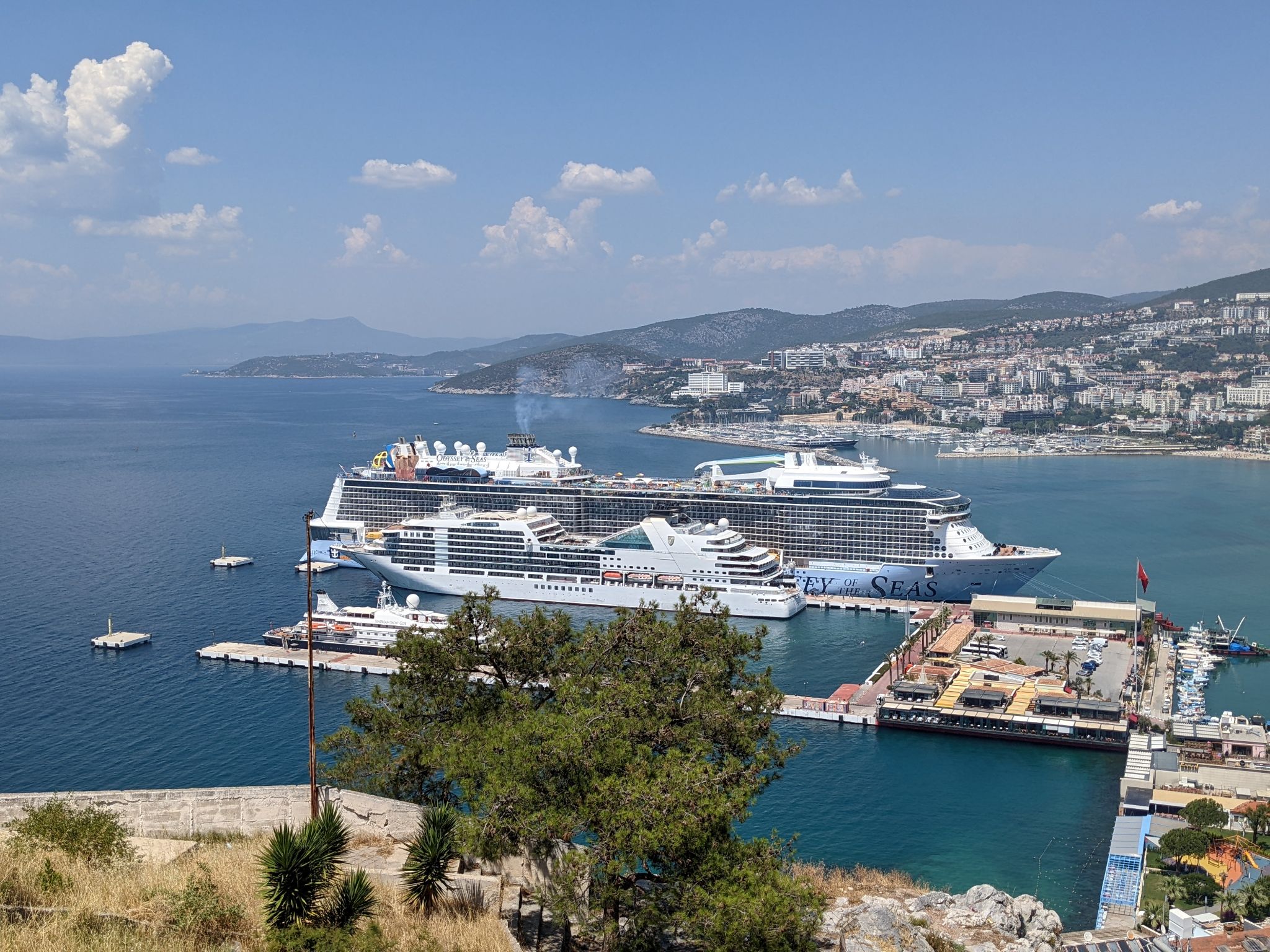 PXL 20220615 114041480