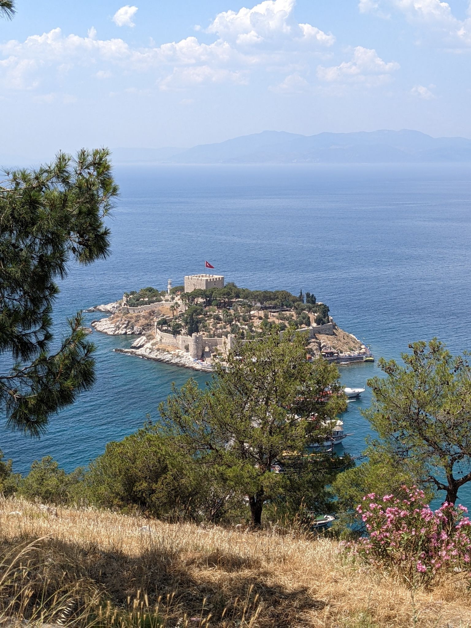 PXL 20220615 114303663