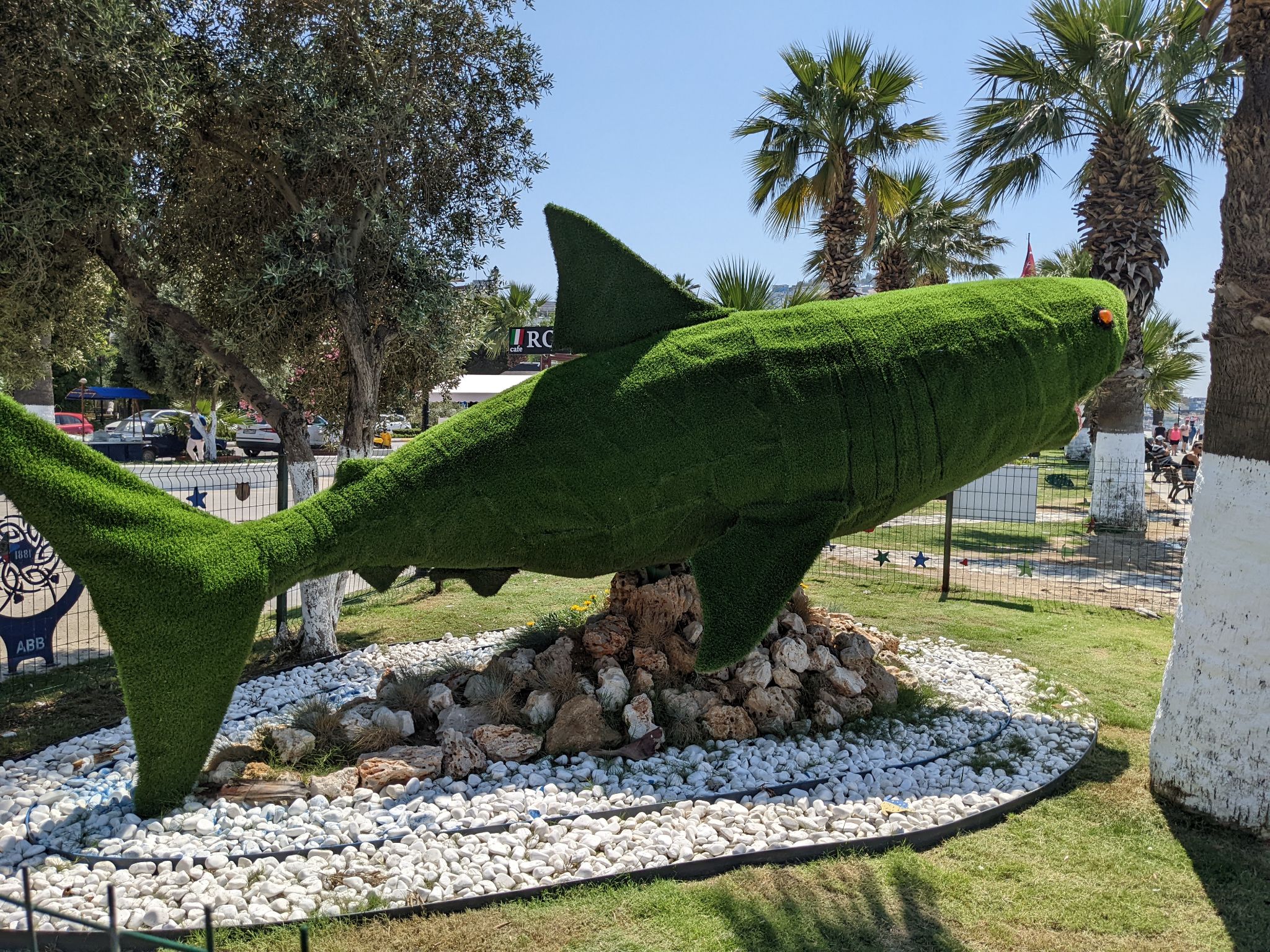 PXL 20220615 120824963.MP