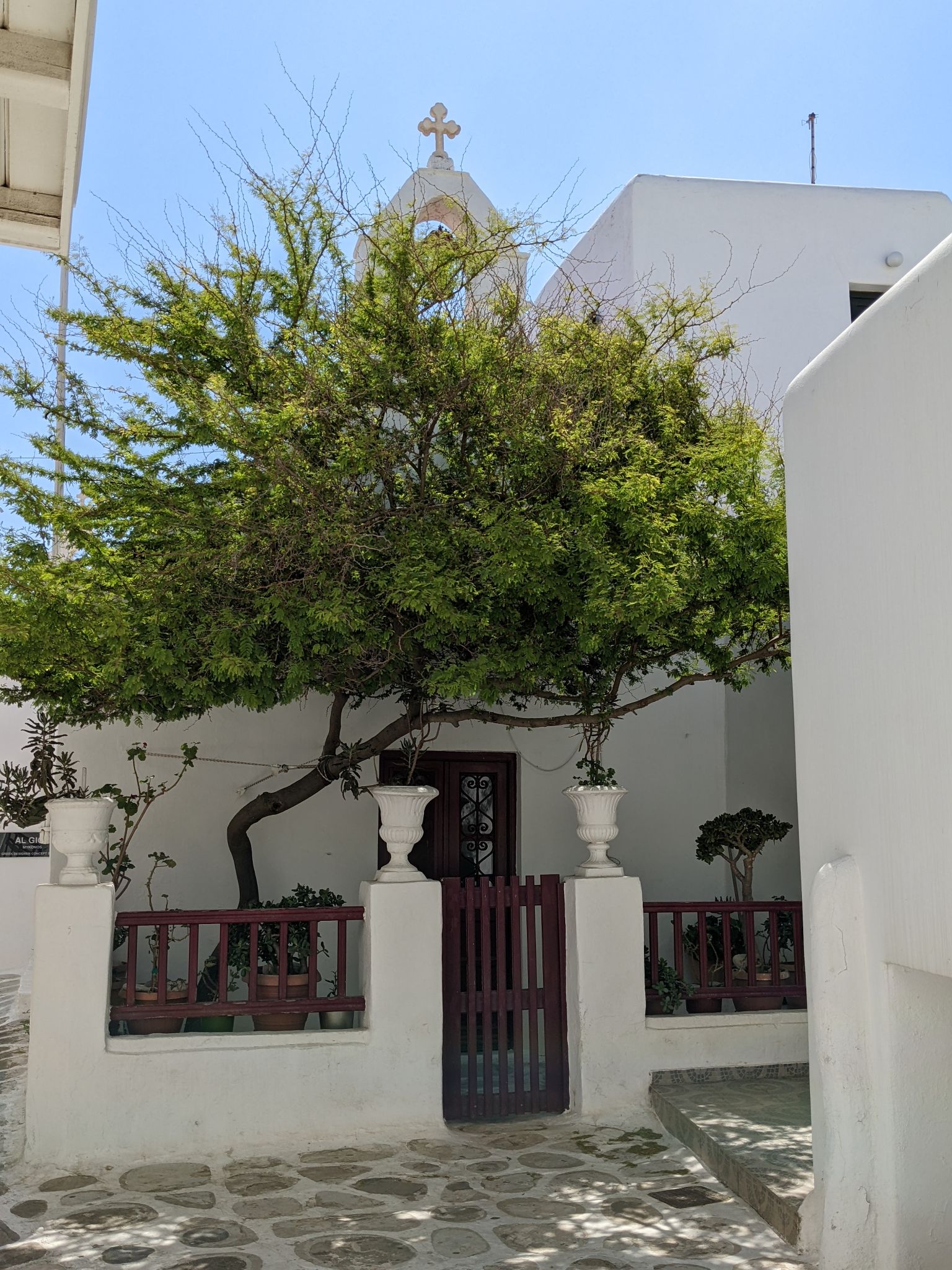 PXL 20220616 075412287.MP