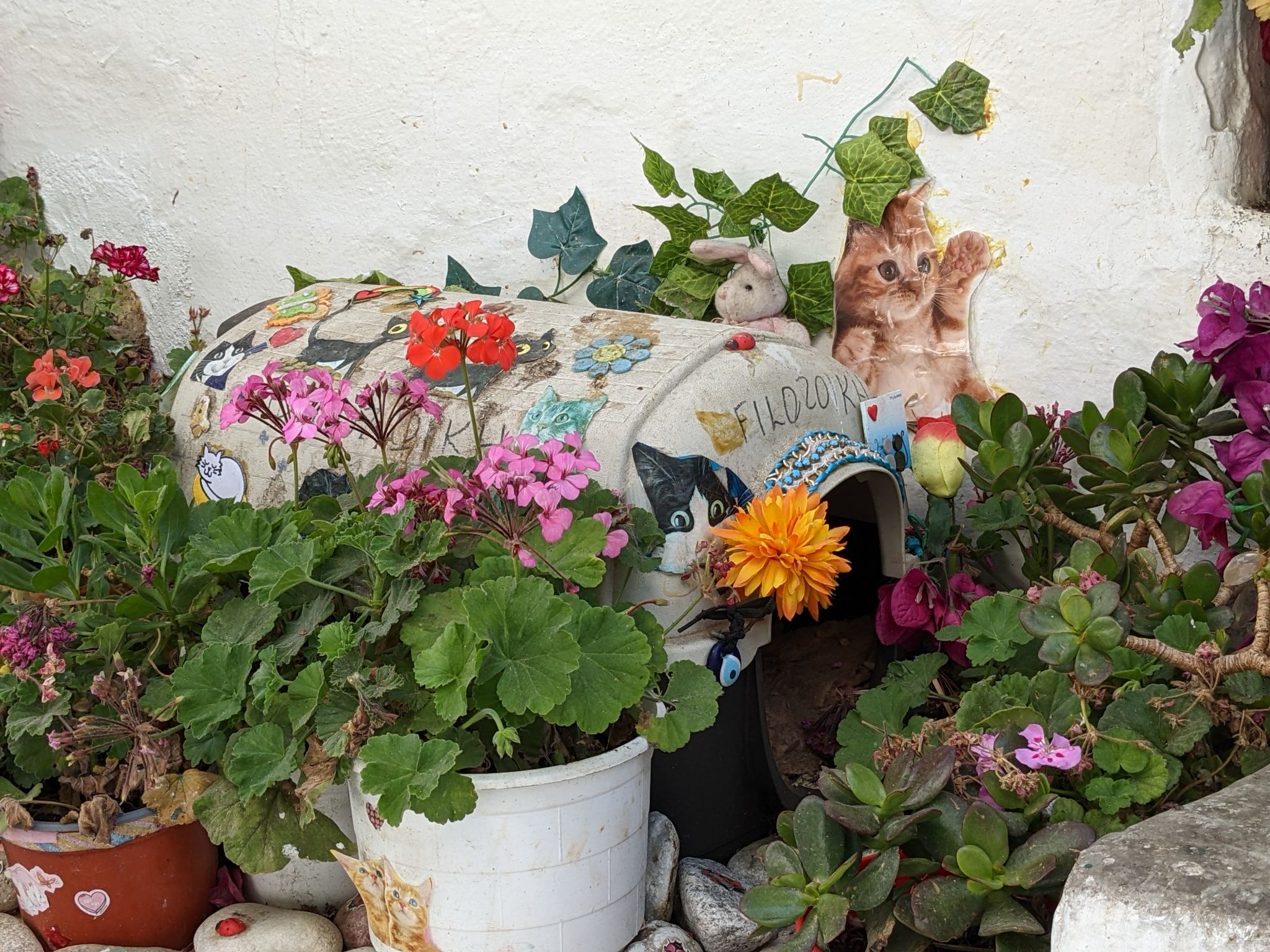 PXL 20220616 080540107