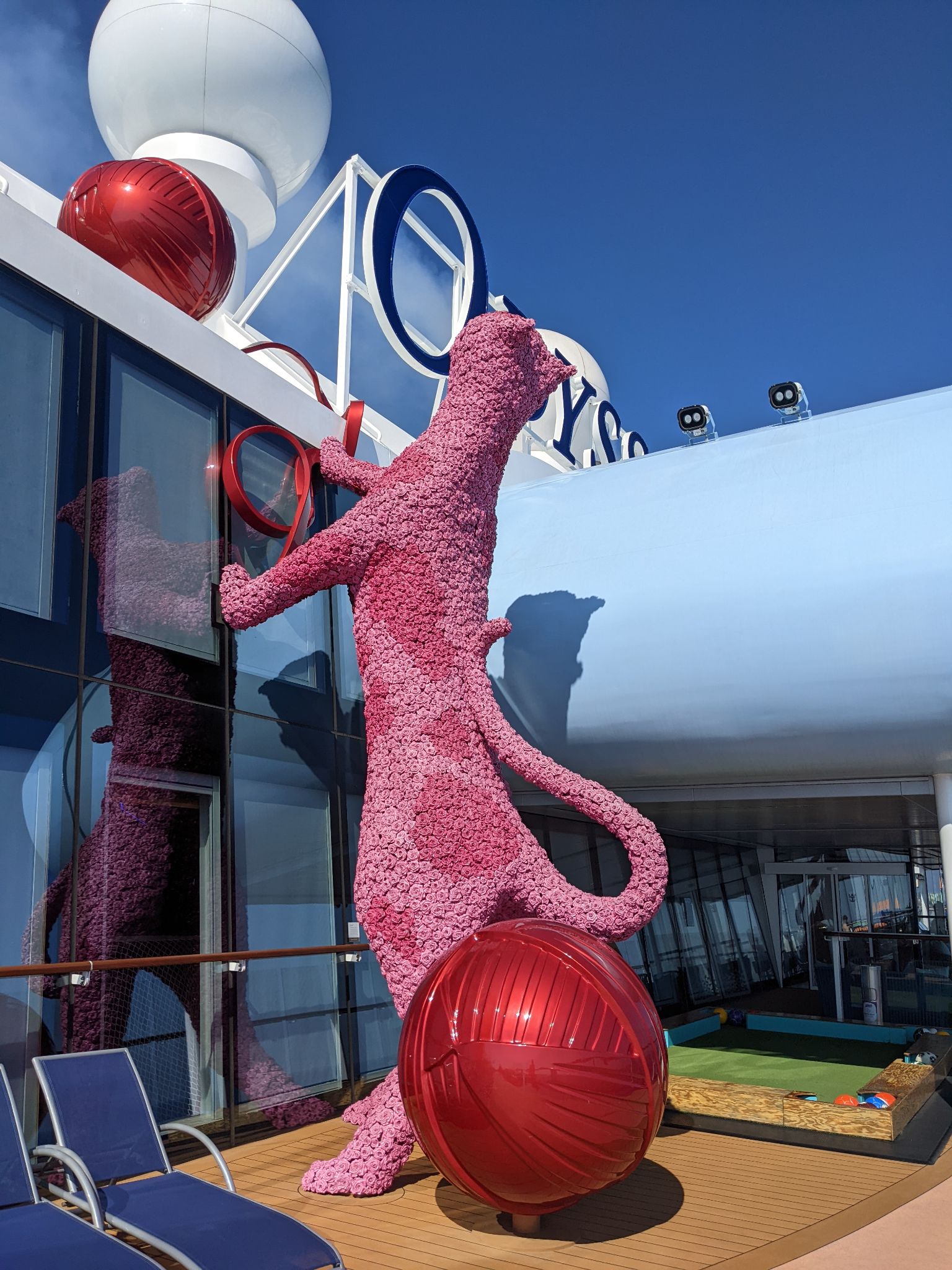 PXL 20220617 071008568.MP