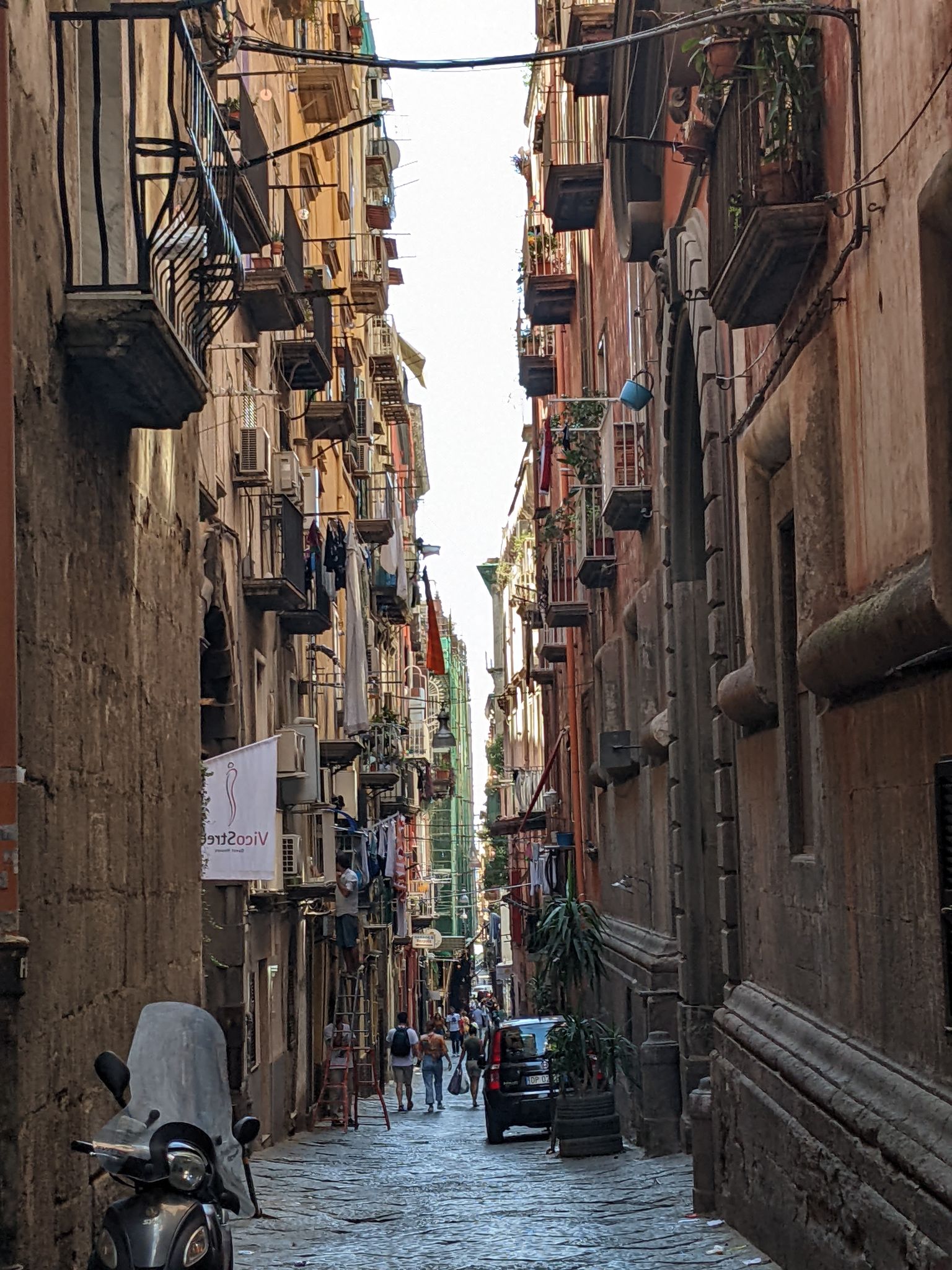 PXL 20220618 090725328