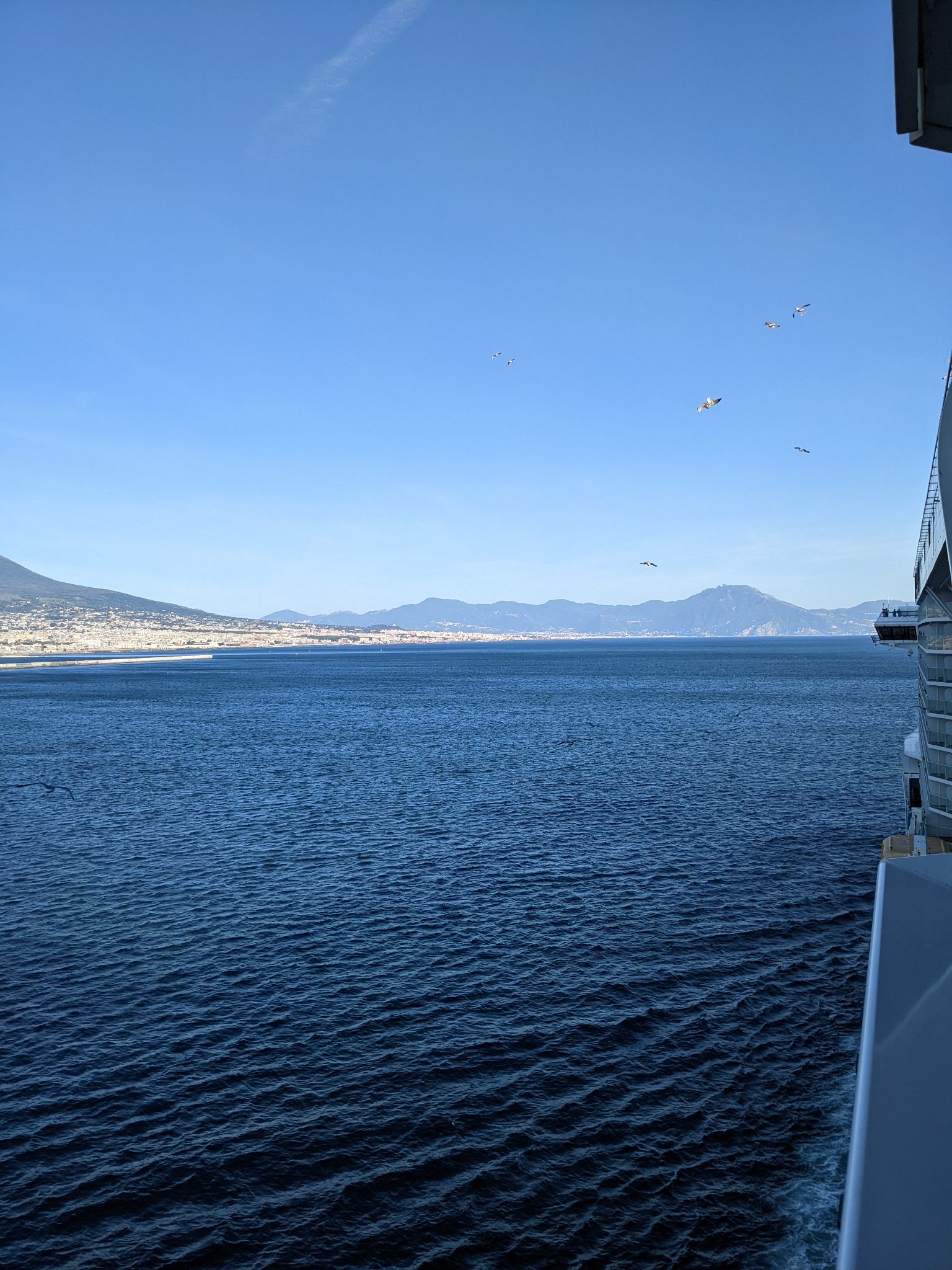 PXL 20220618 162616501.MP