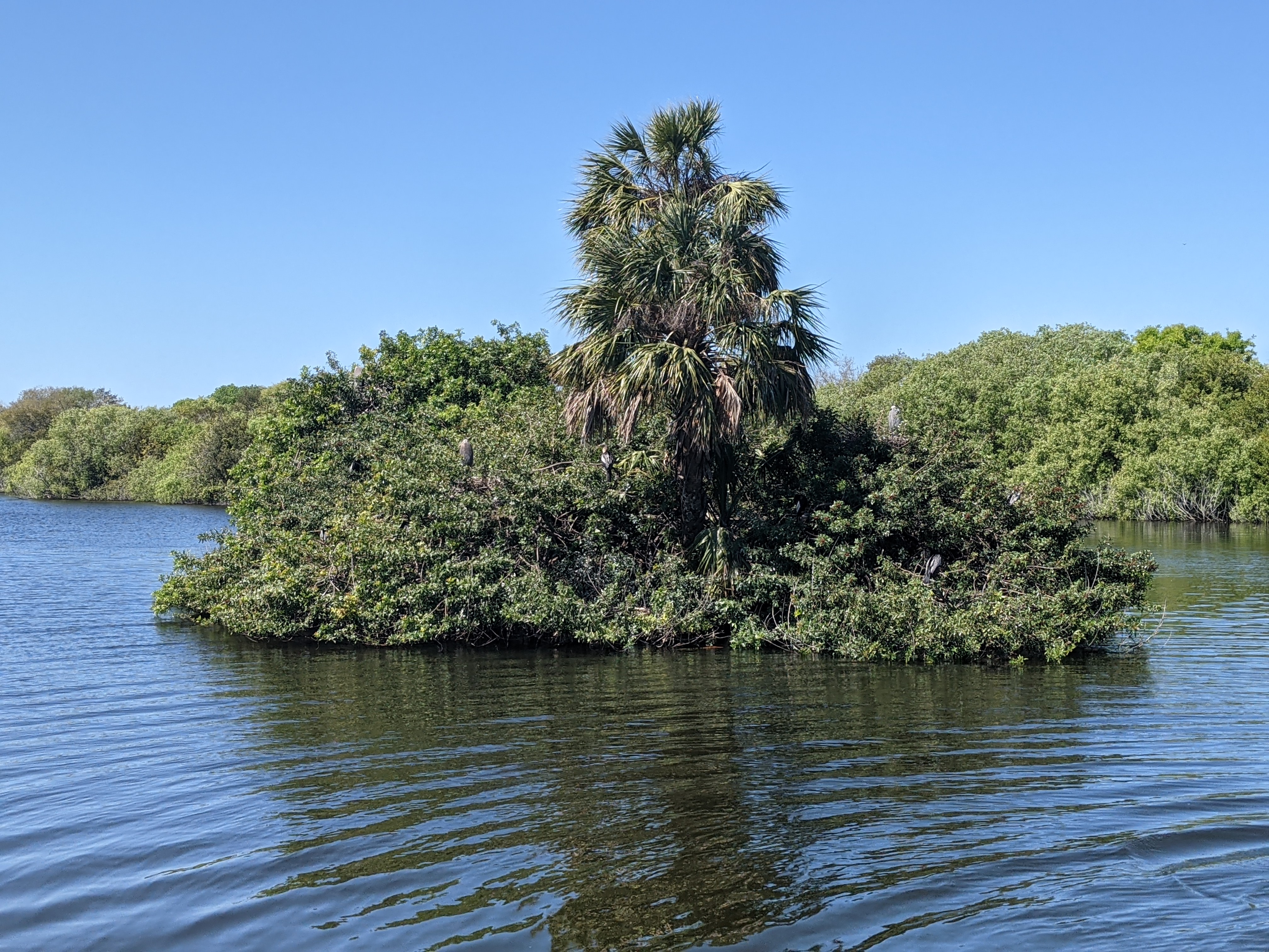 PXL 20210308 161932515.MP