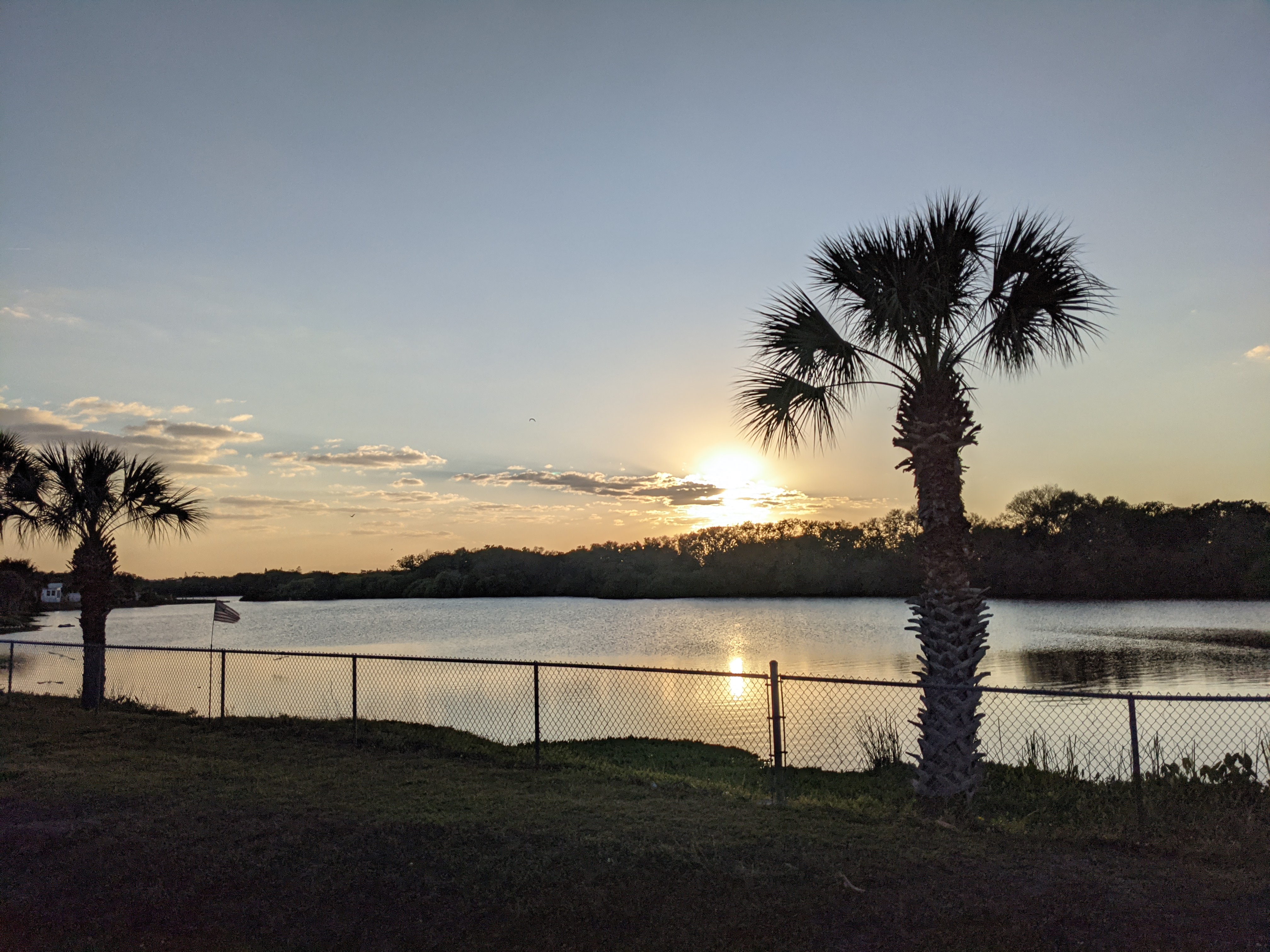 PXL 20210308 231028924