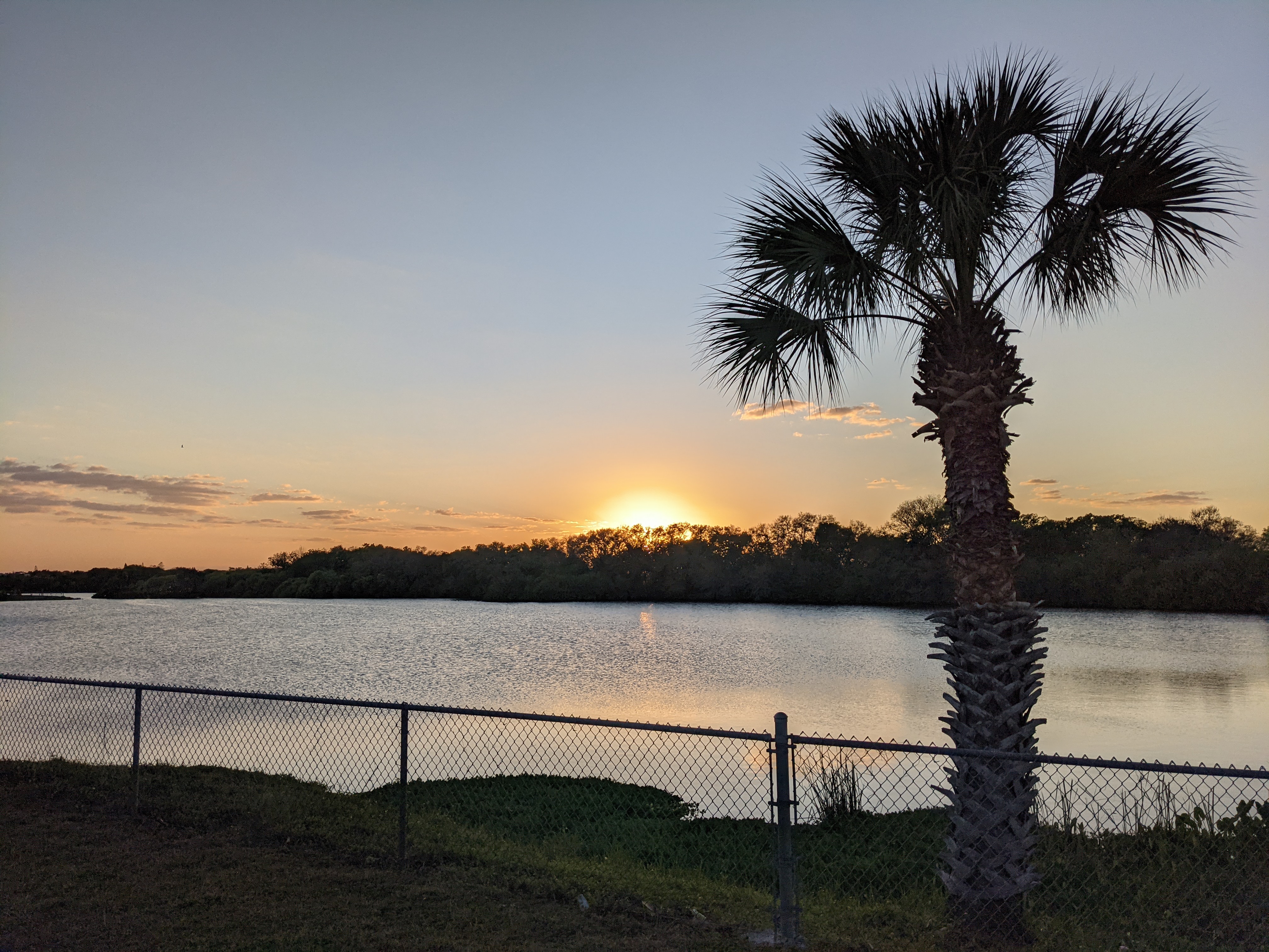 PXL 20210308 232440135