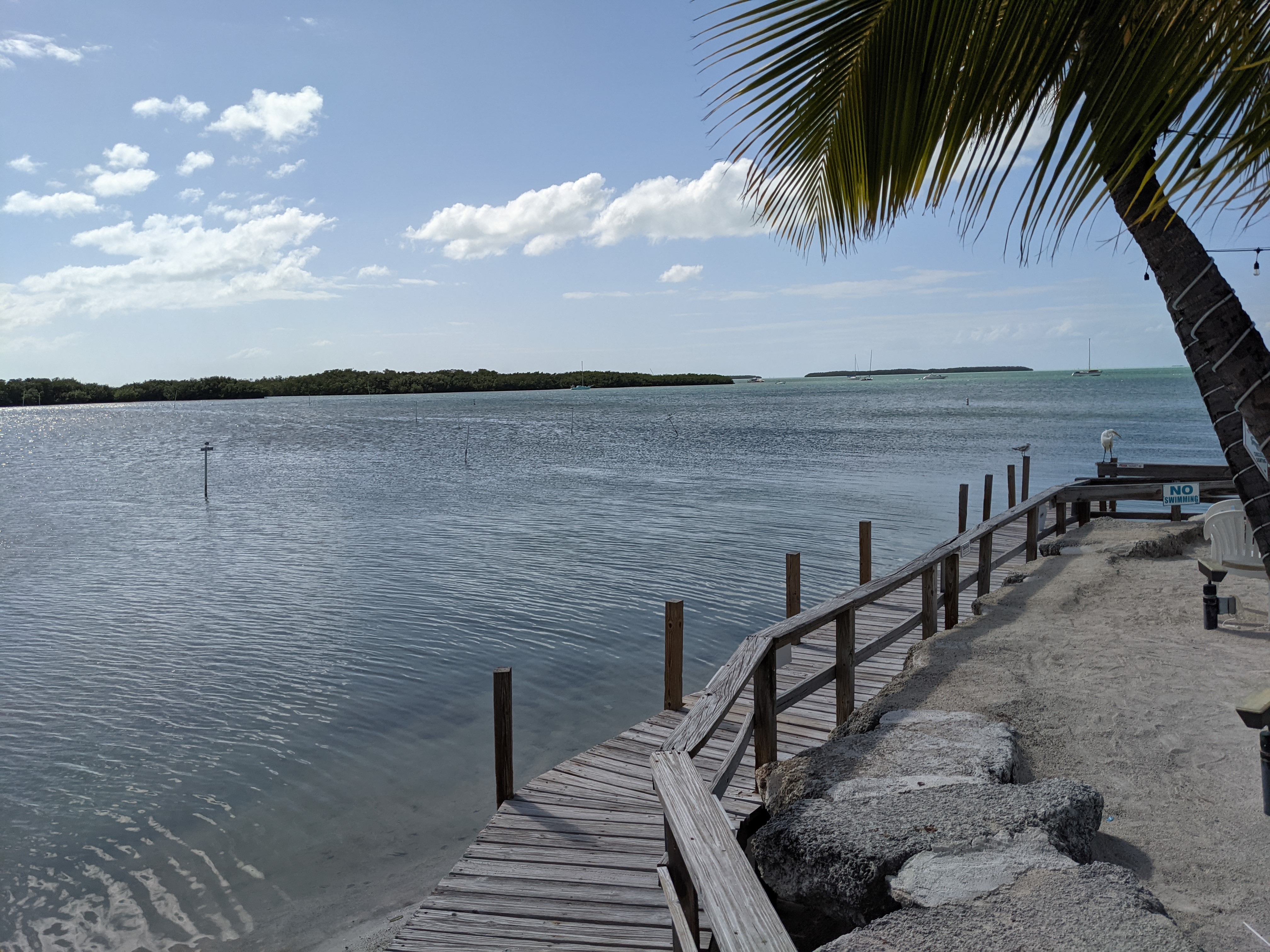 PXL 20210309 195751291.MP