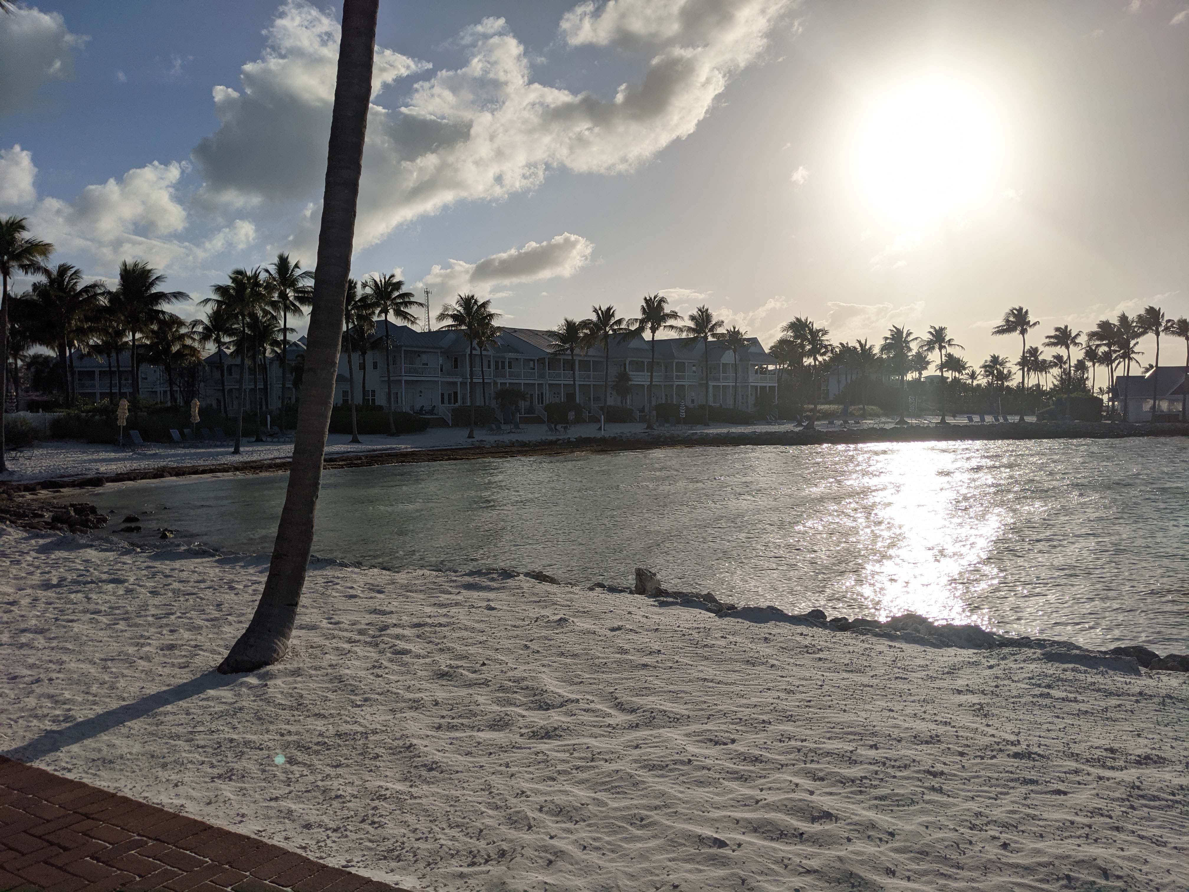 PXL 20210309 222248275