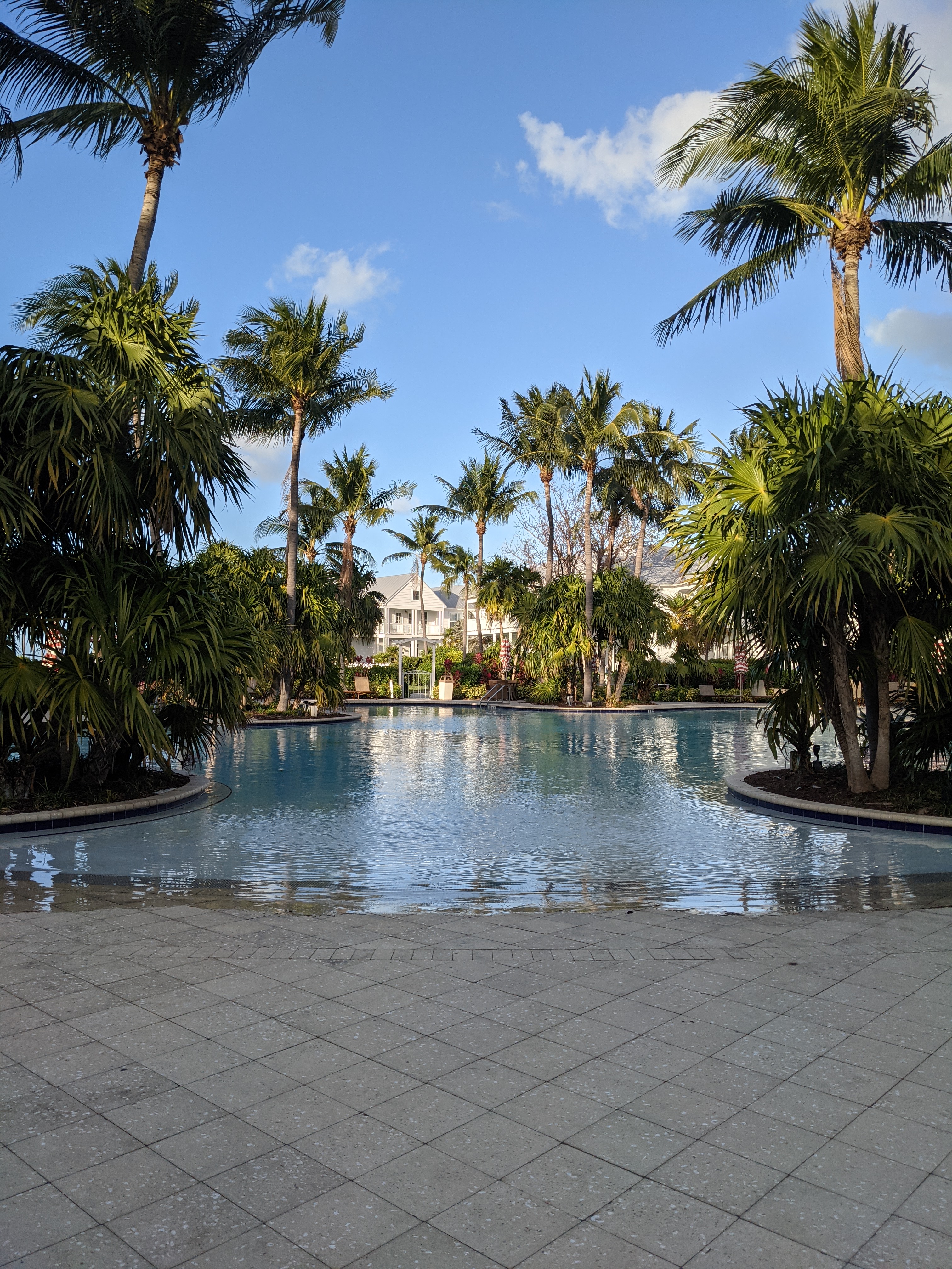 PXL 20210309 223509485