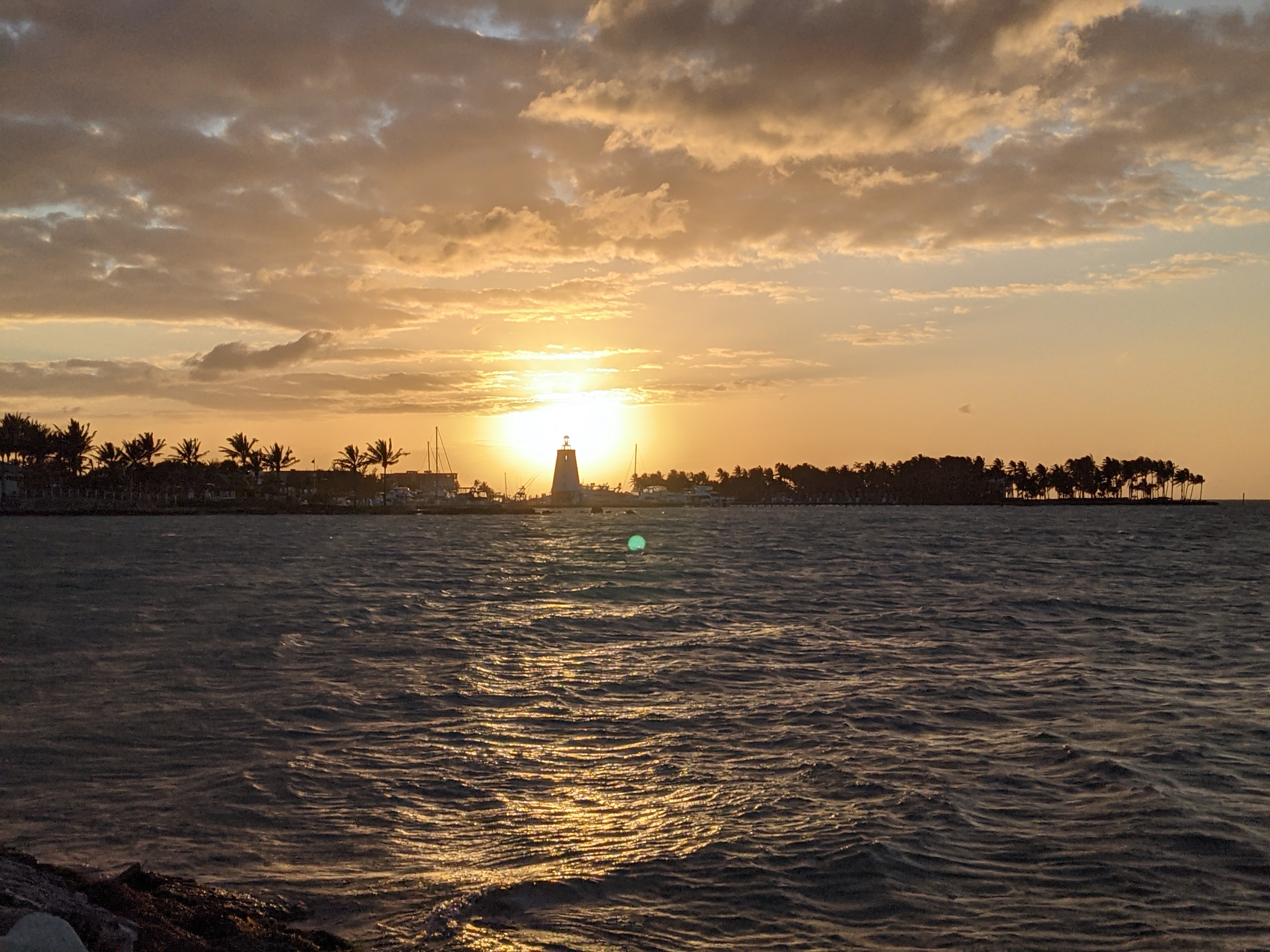 PXL 20210309 231711208