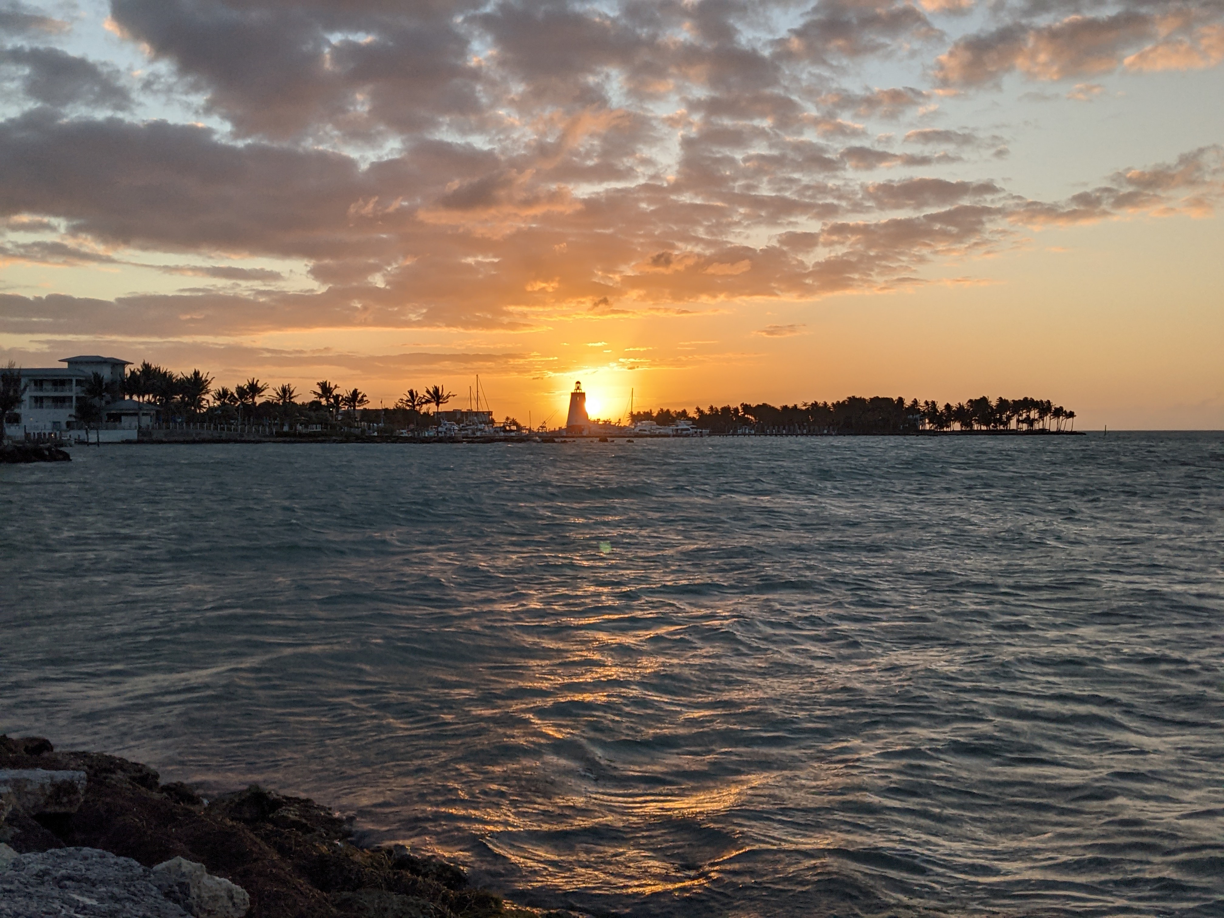 PXL 20210309 232436160