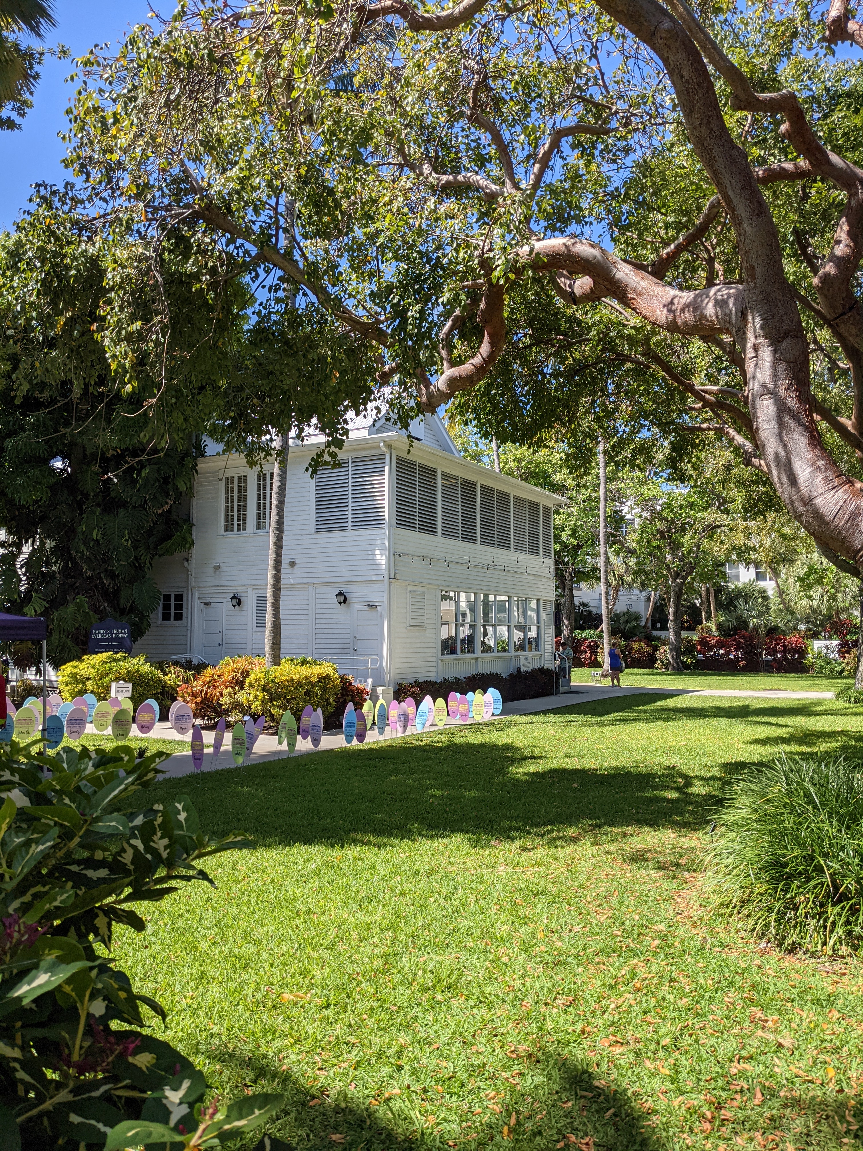 PXL 20210310 160036856