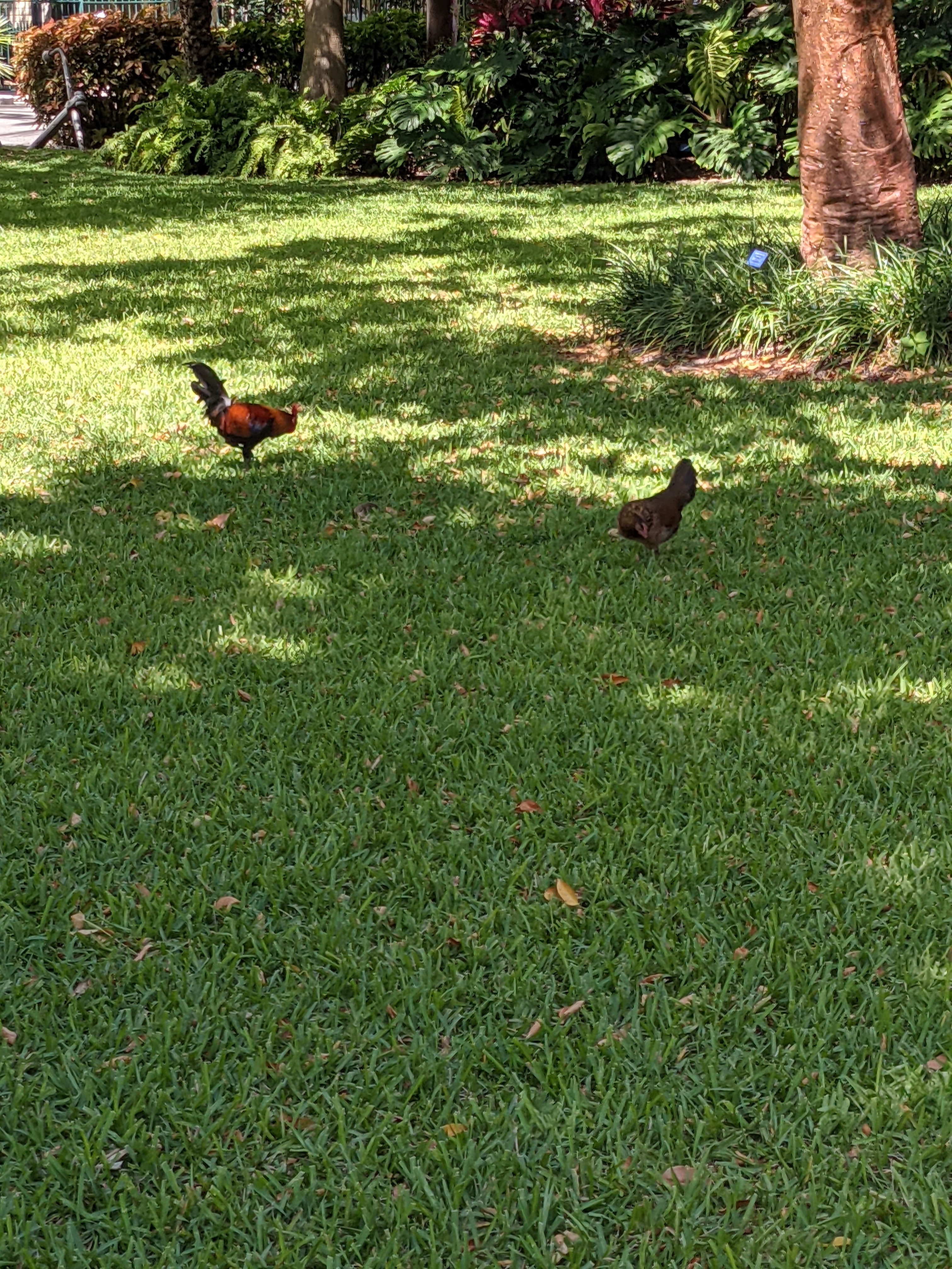 PXL 20210310 160304863