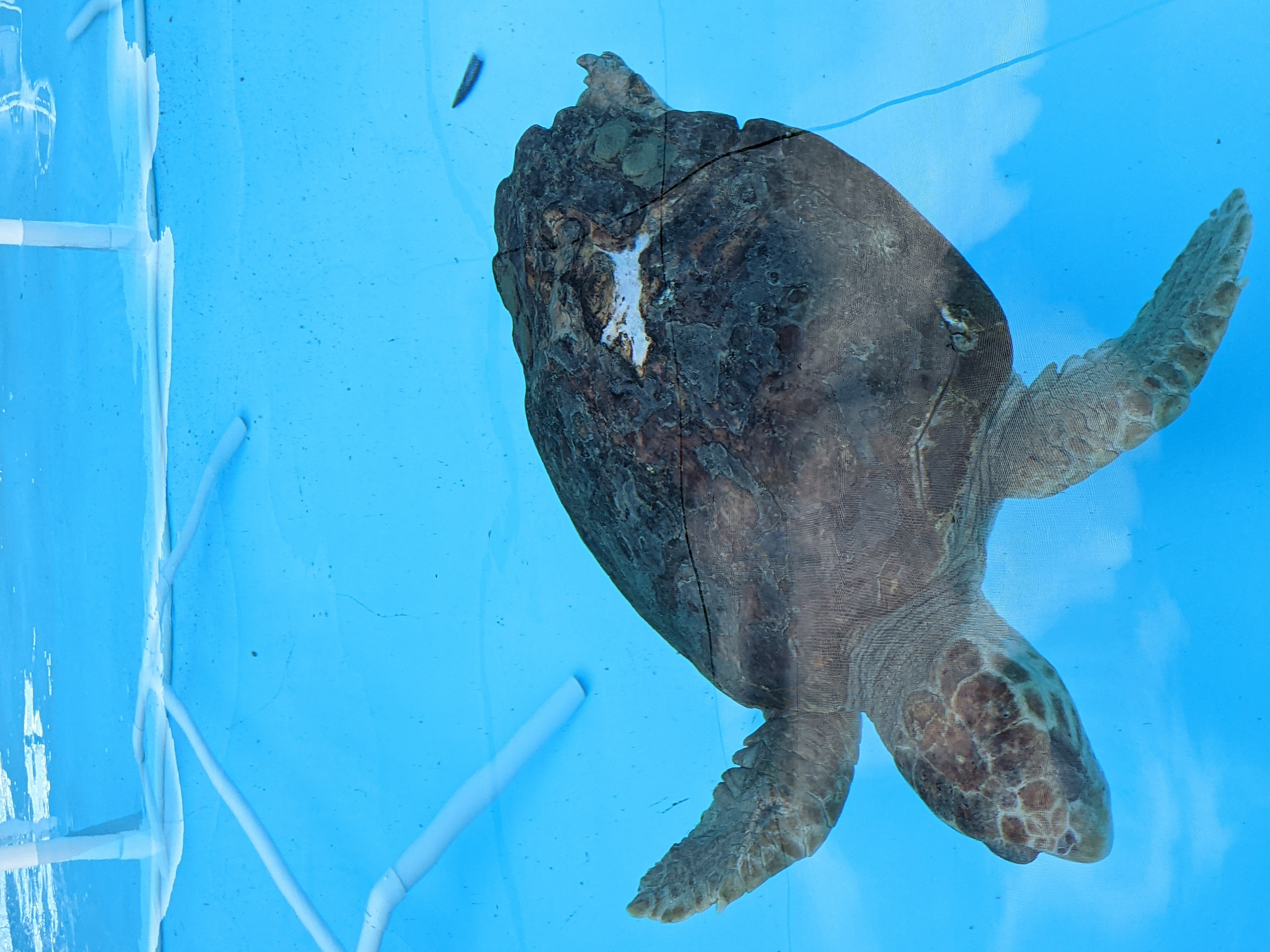 PXL 20210311 200512379.PORTRAIT