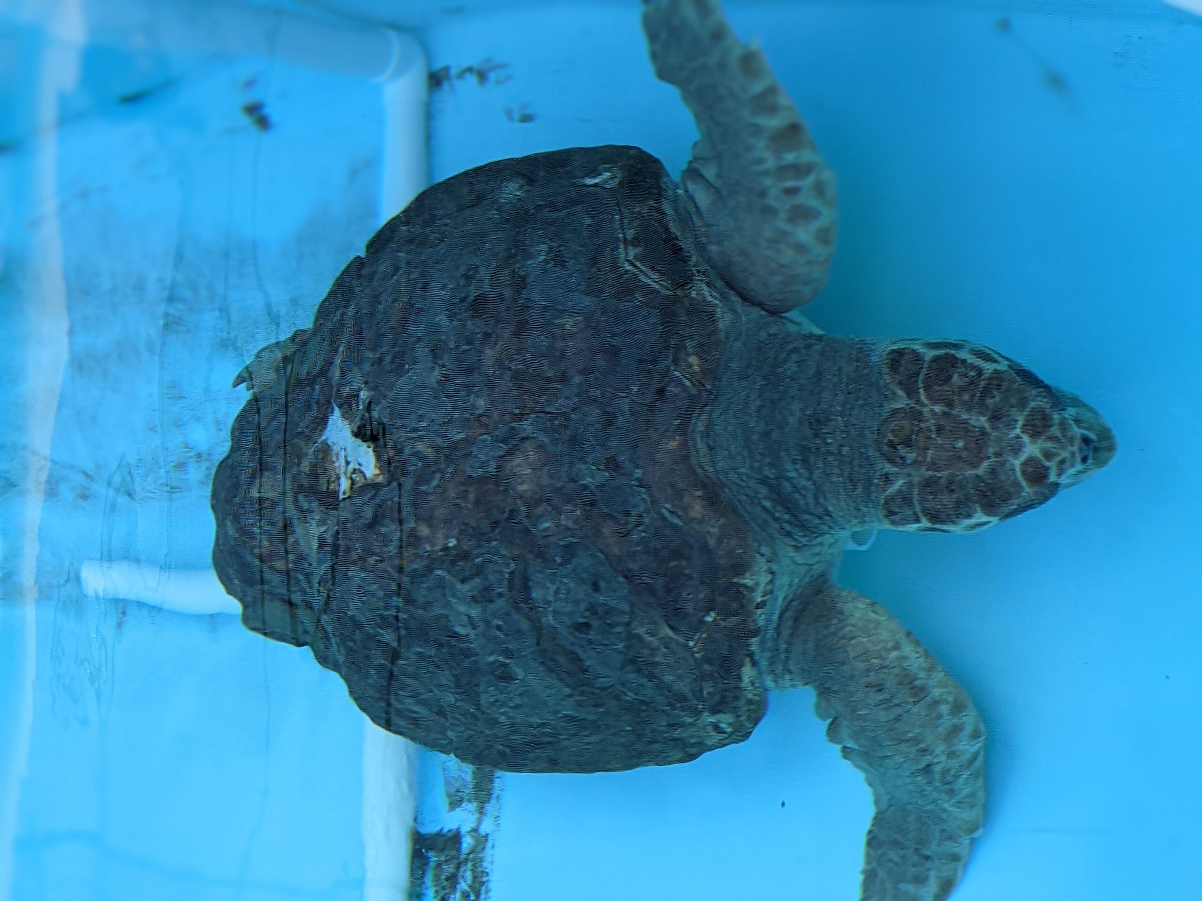 PXL 20210311 200541966.PORTRAIT