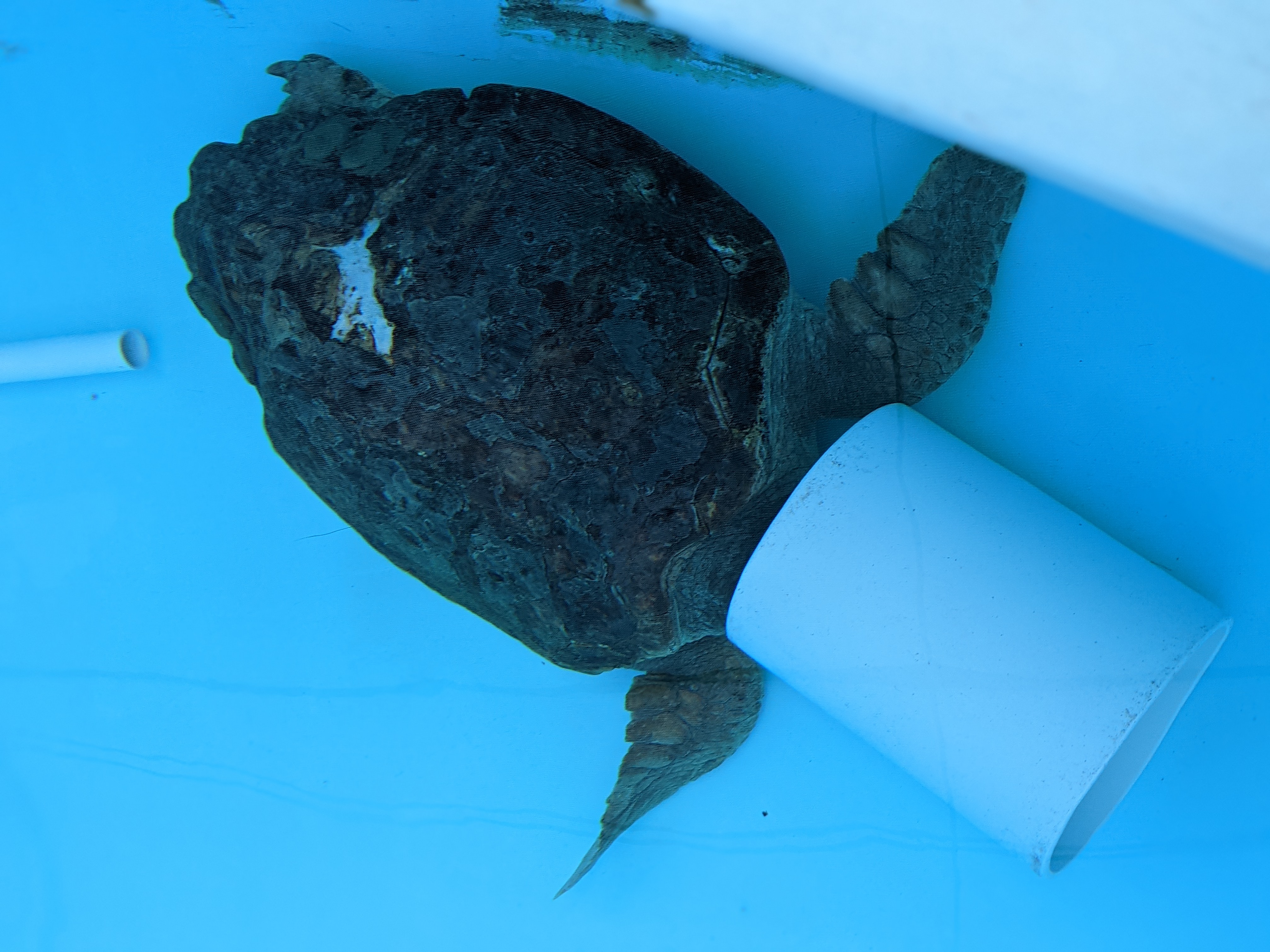 PXL 20210311 200553111.PORTRAIT