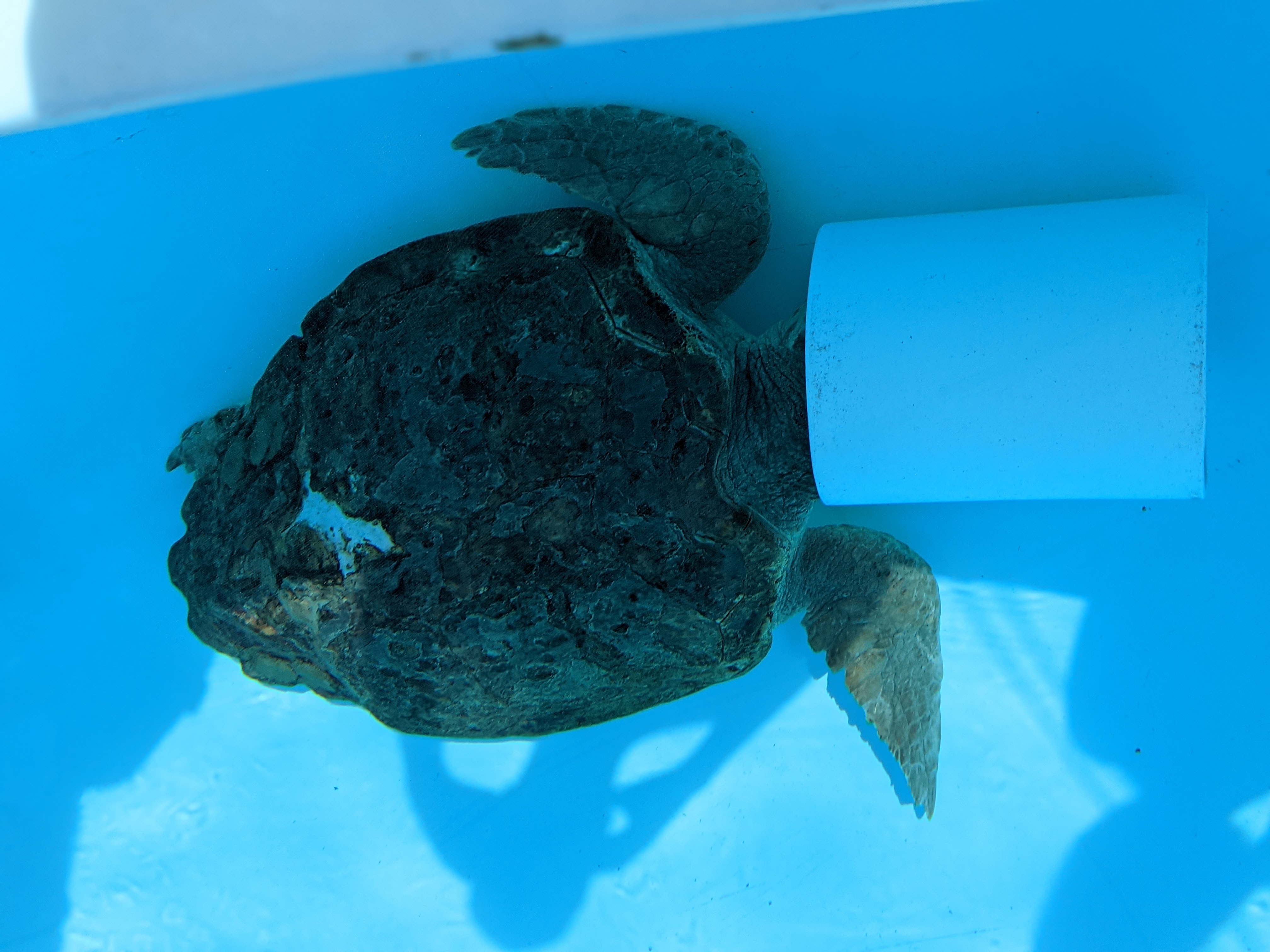 PXL 20210311 200628993.PORTRAIT