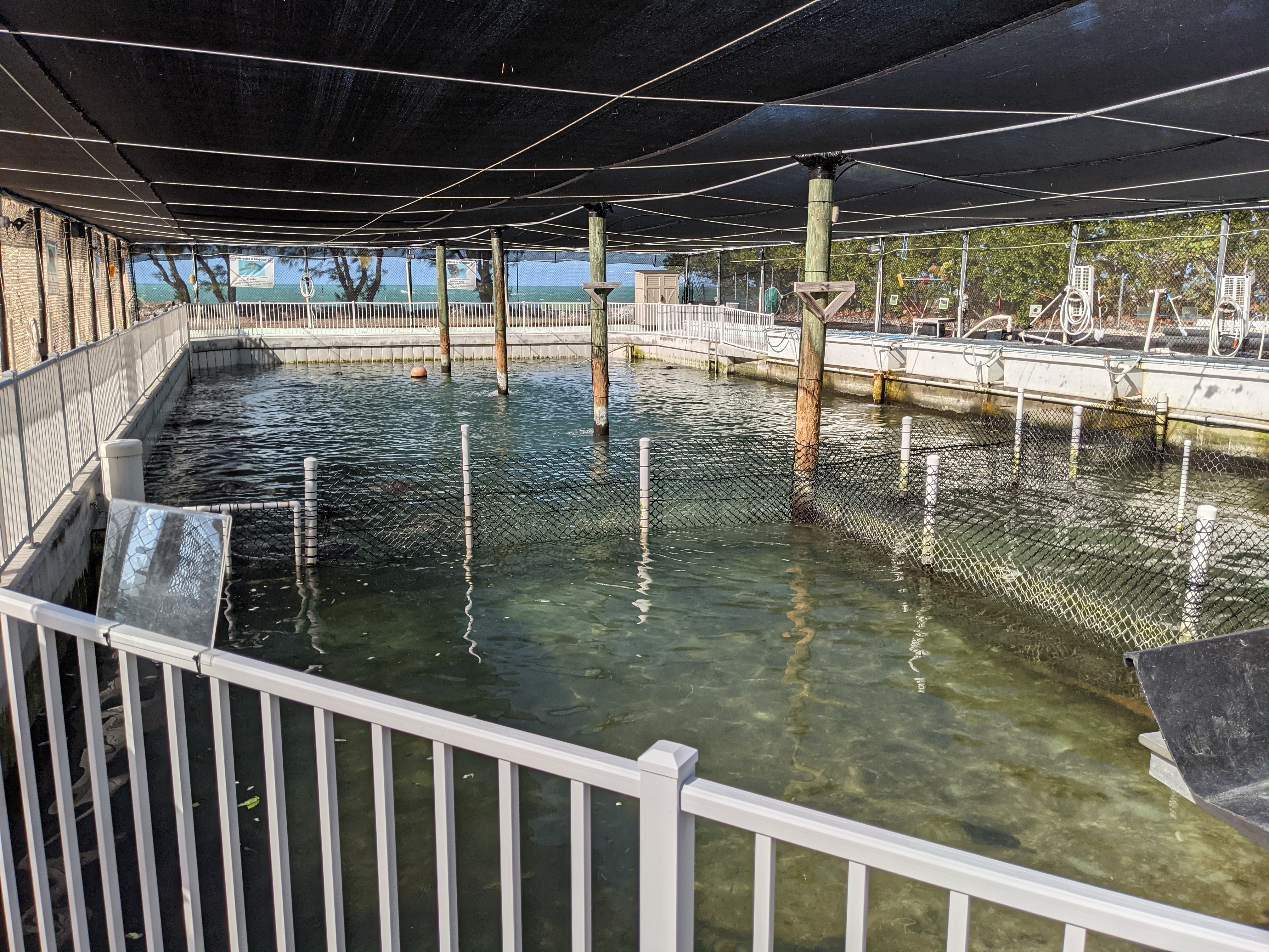 PXL 20210311 202744947