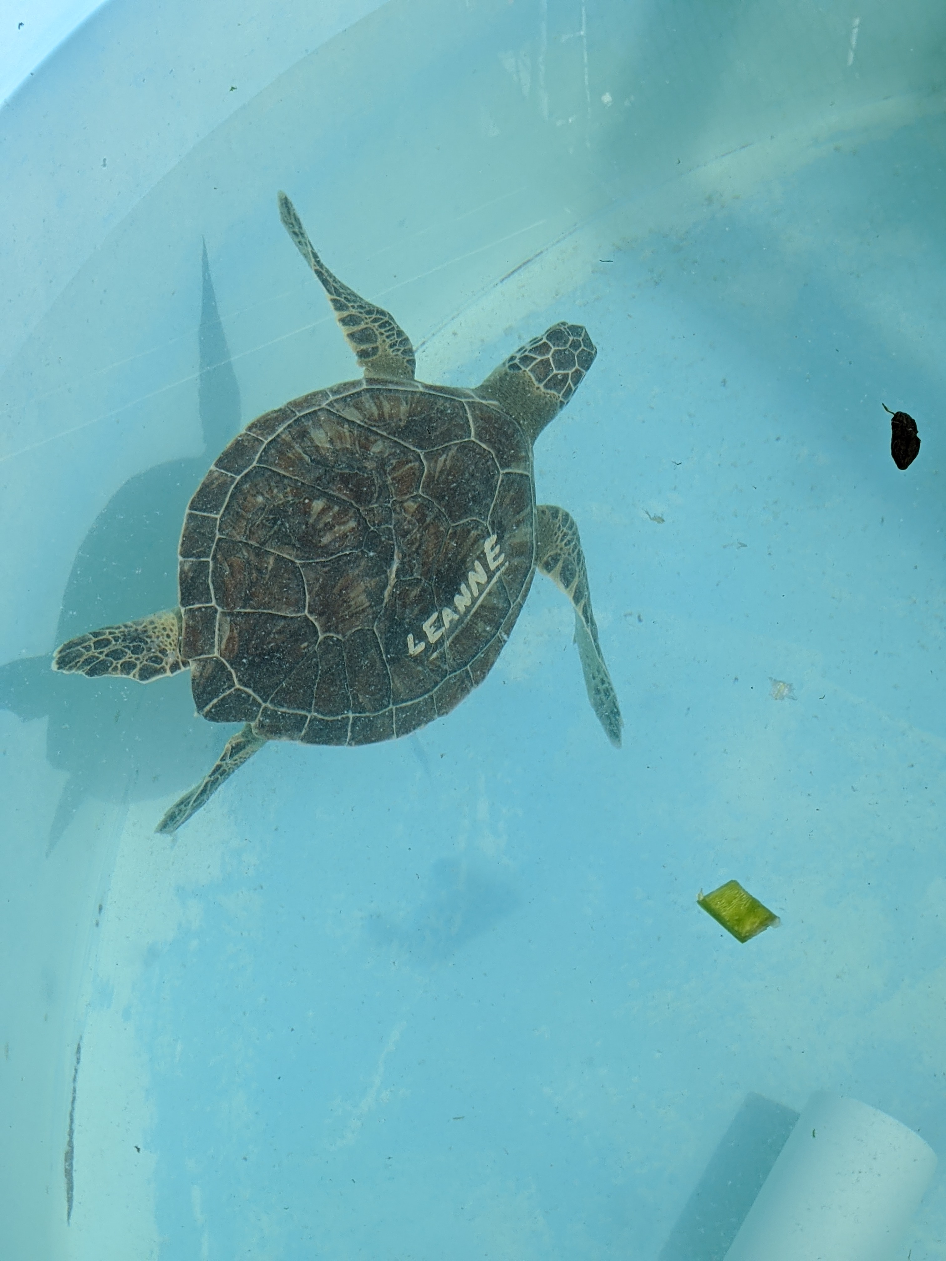 PXL 20210311 202852497