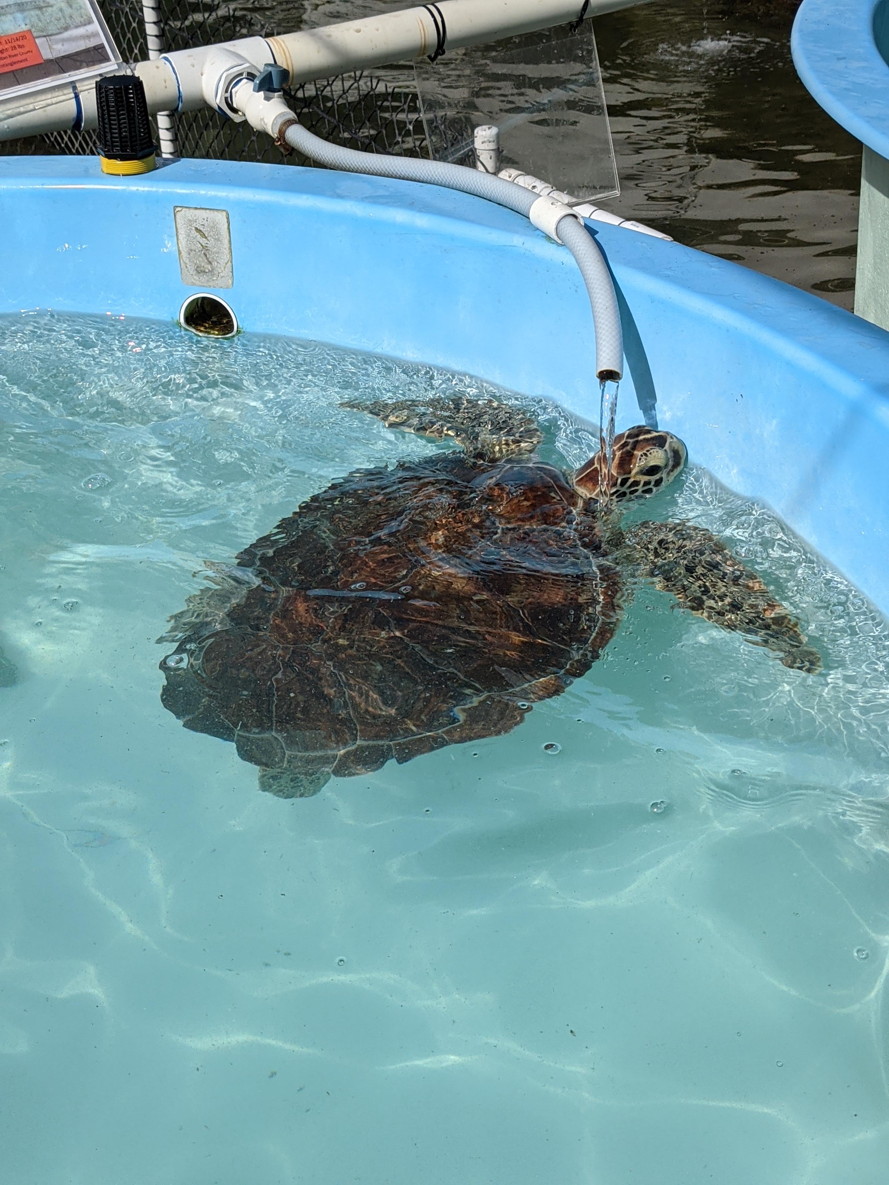 PXL 20210311 202856602