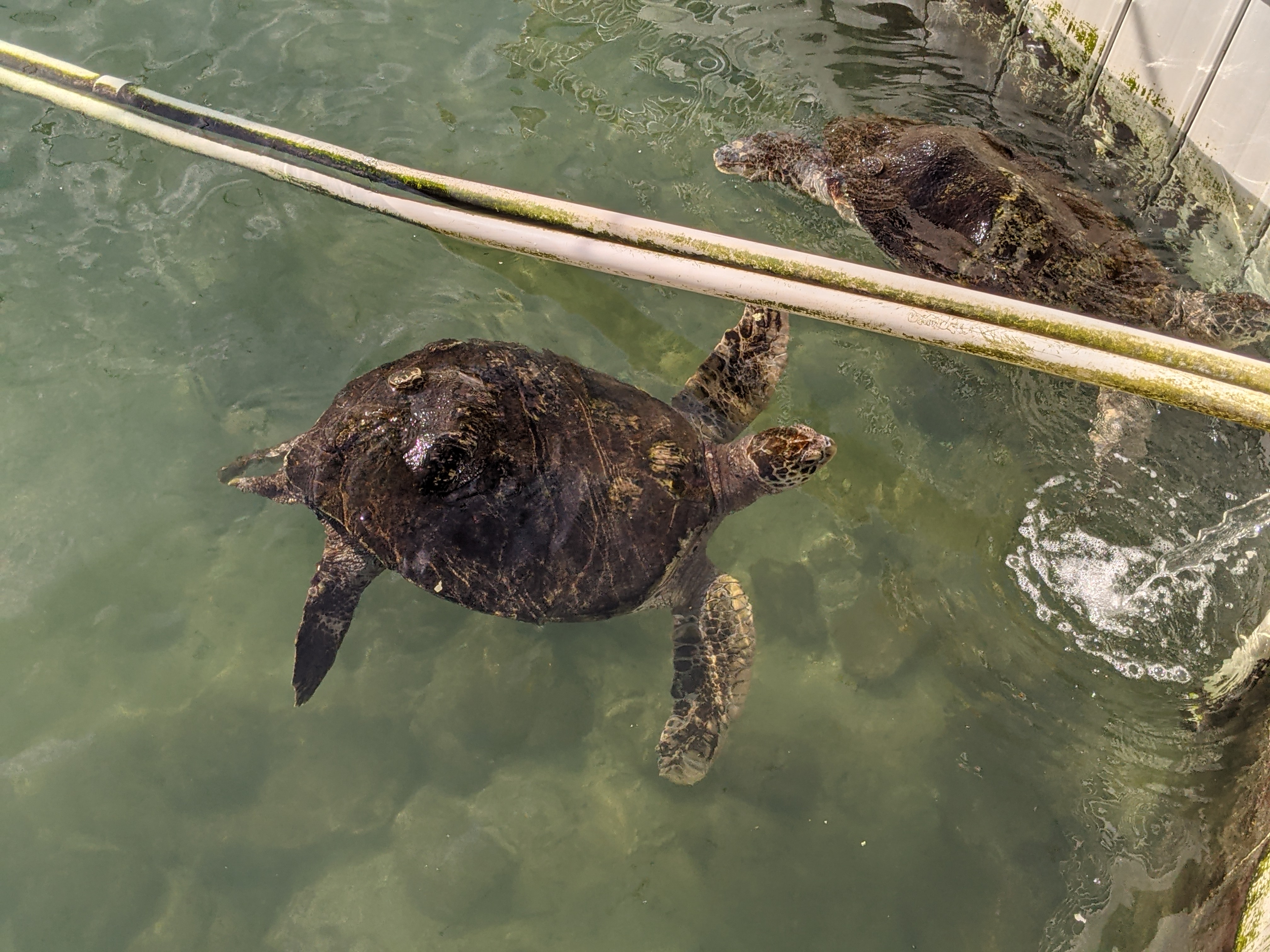 PXL 20210311 203249982