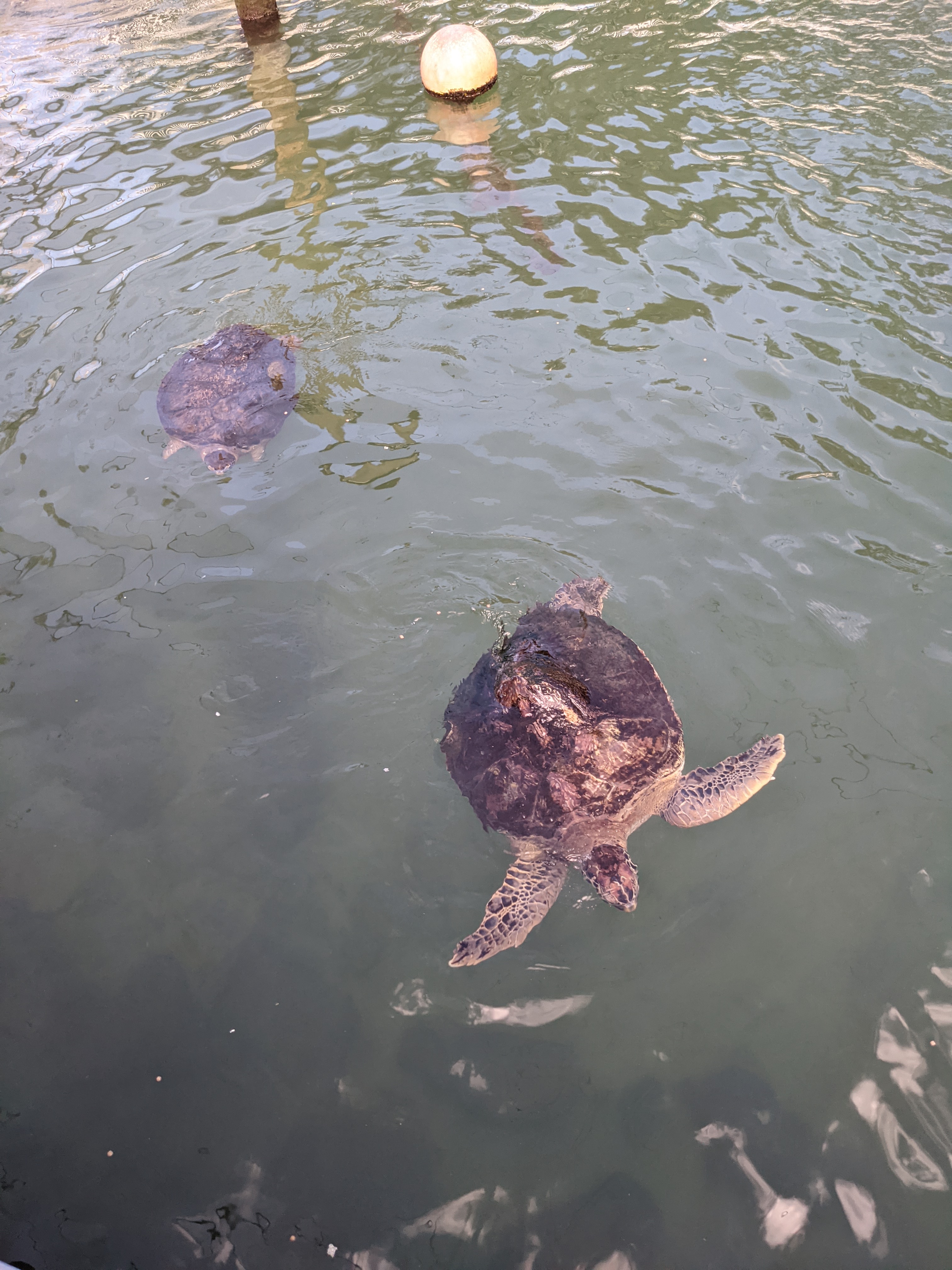 PXL 20210311 203924639