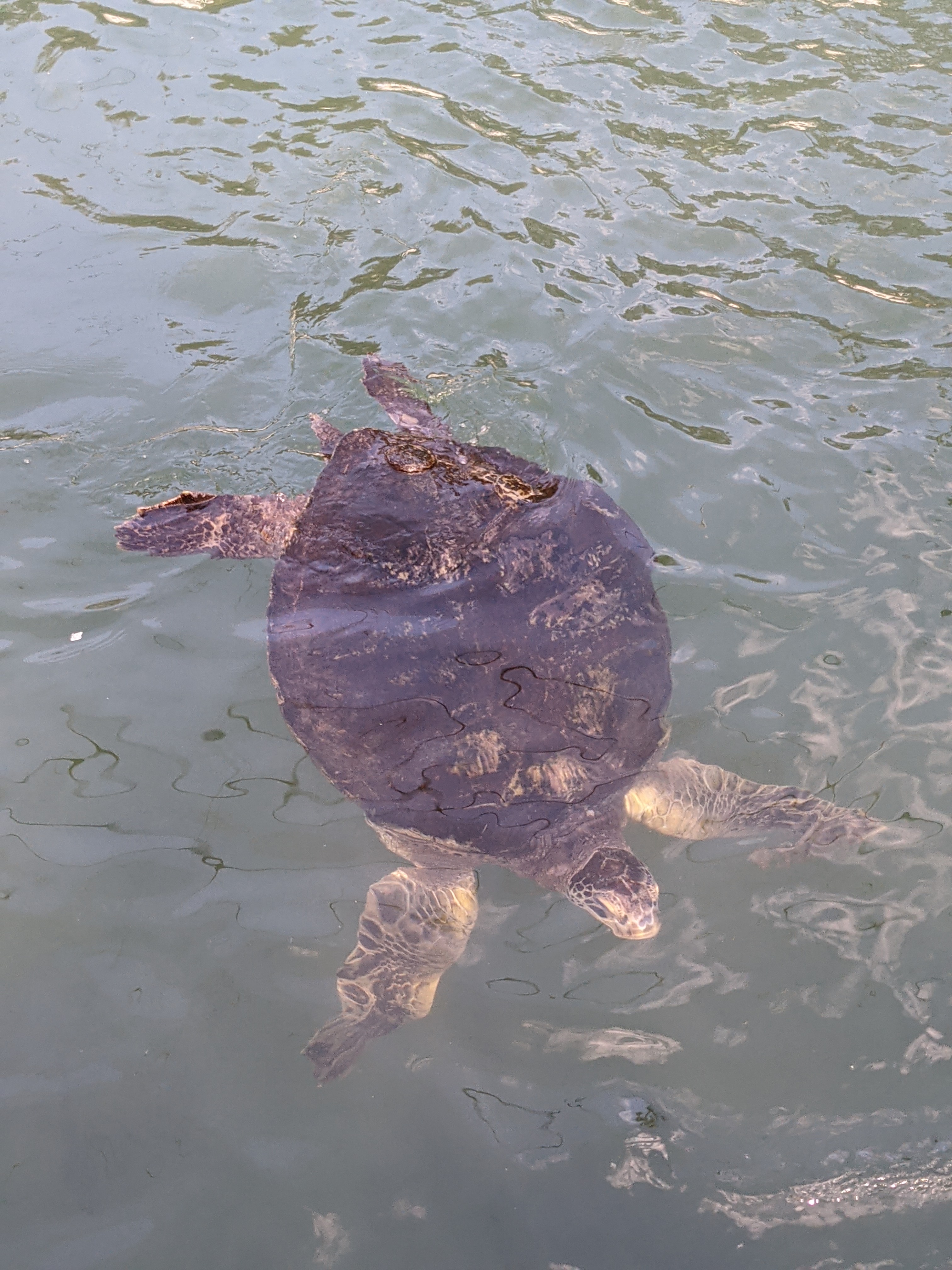 PXL 20210311 204328118