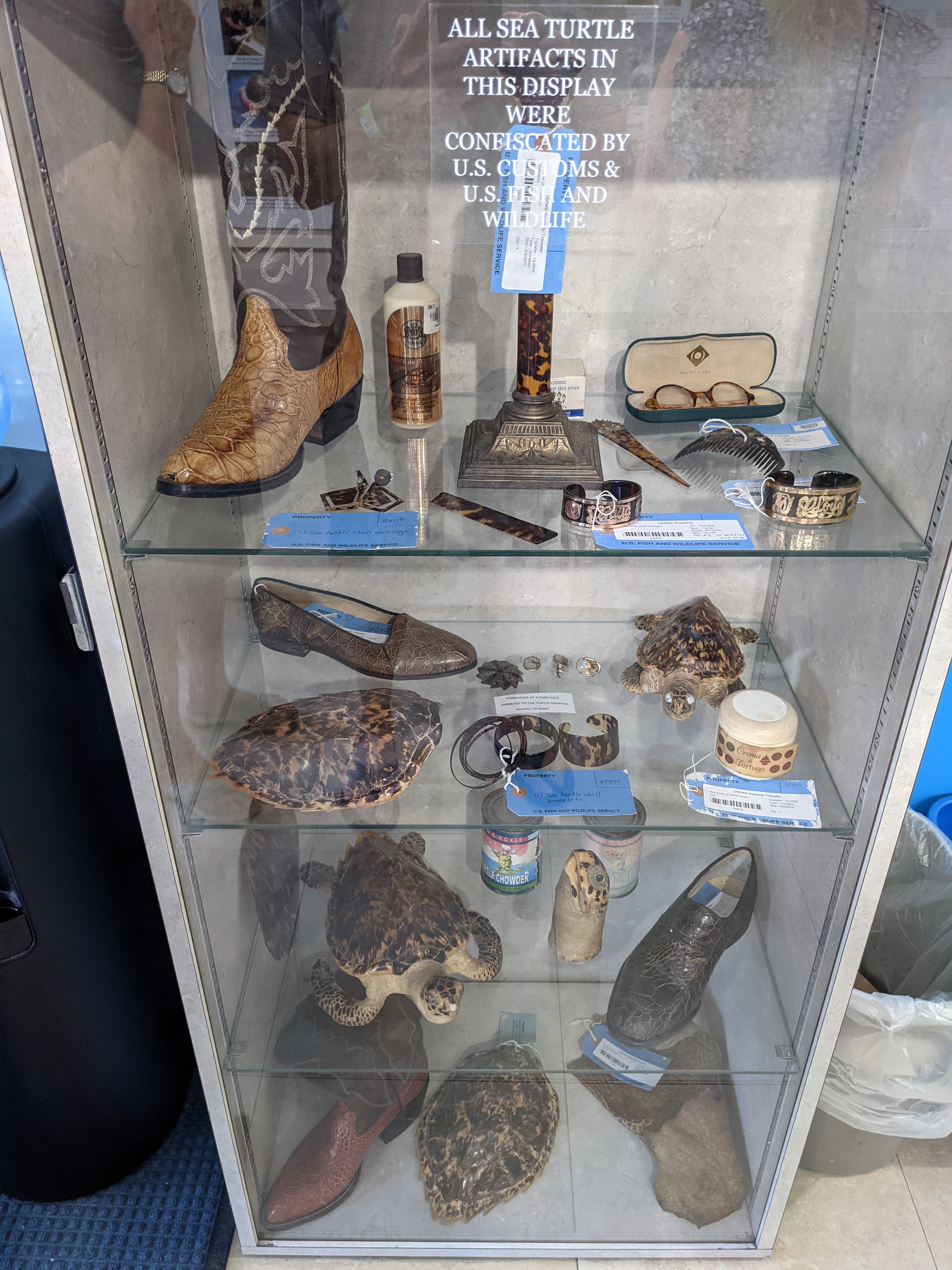 PXL 20210311 204758025