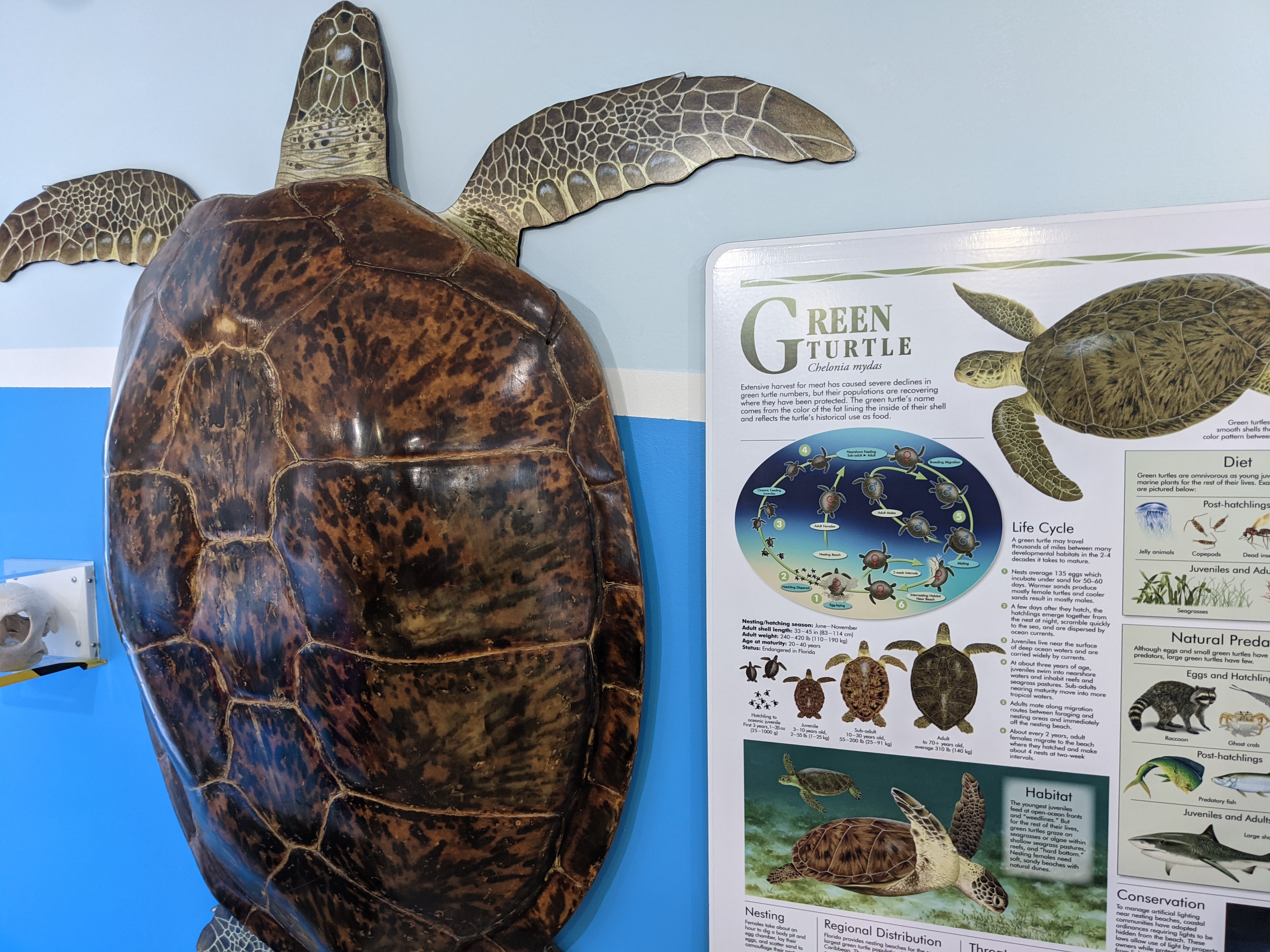 PXL 20210311 204823957