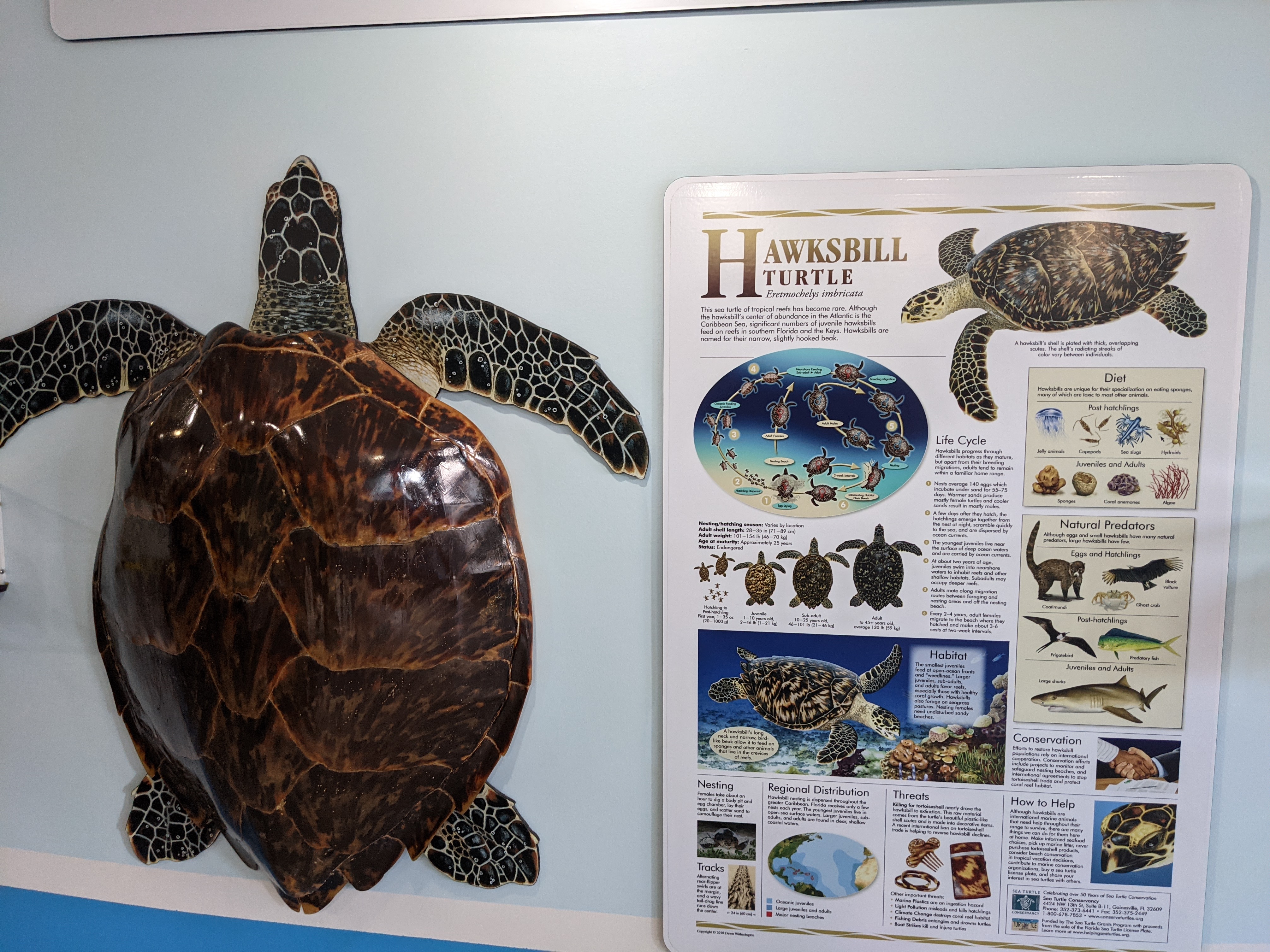 PXL 20210311 204849345