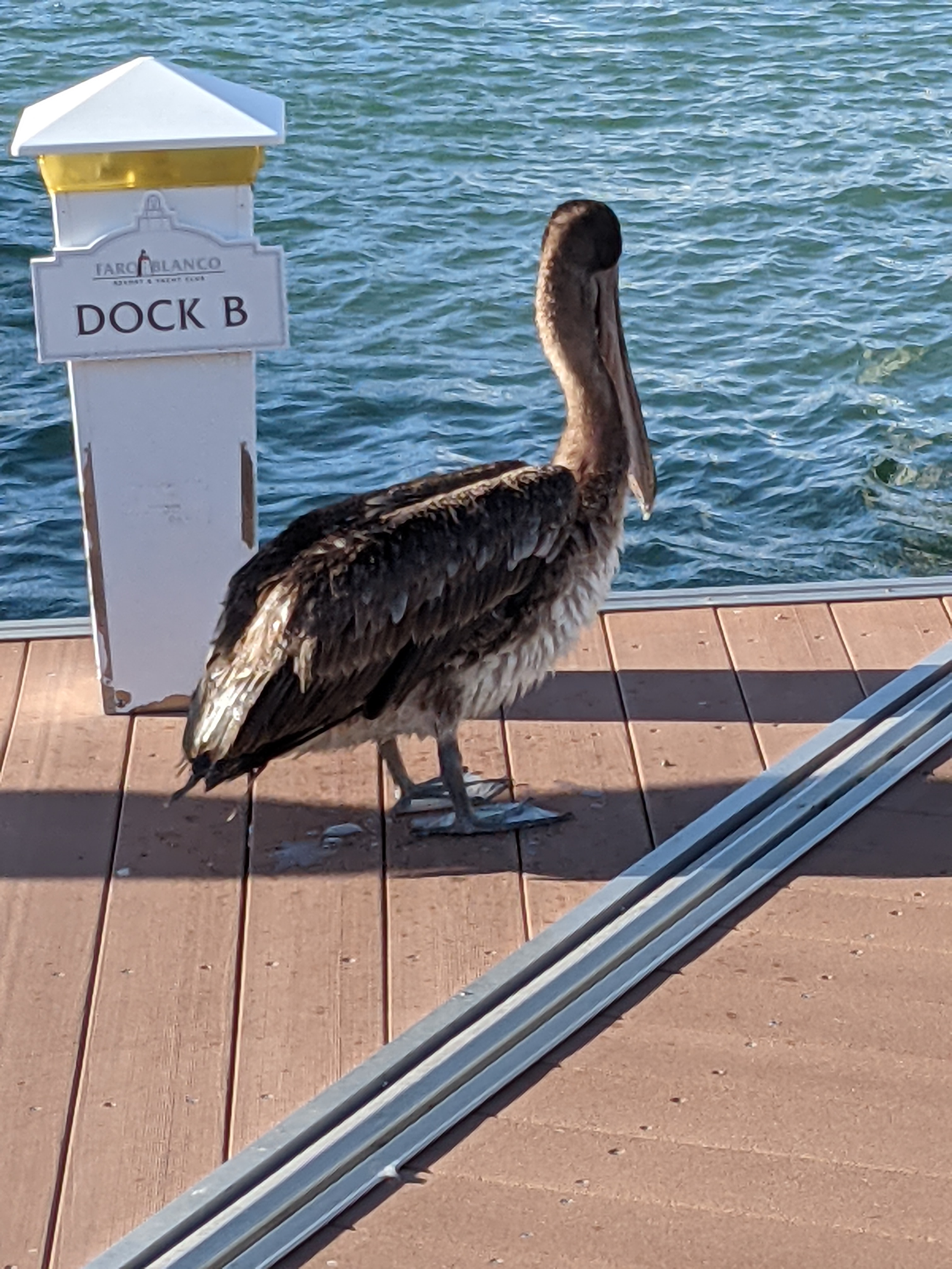 PXL 20210311 215642570