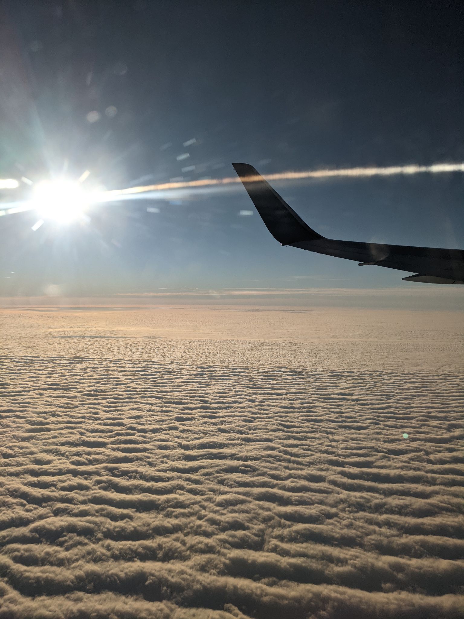 Symphony of the Seas