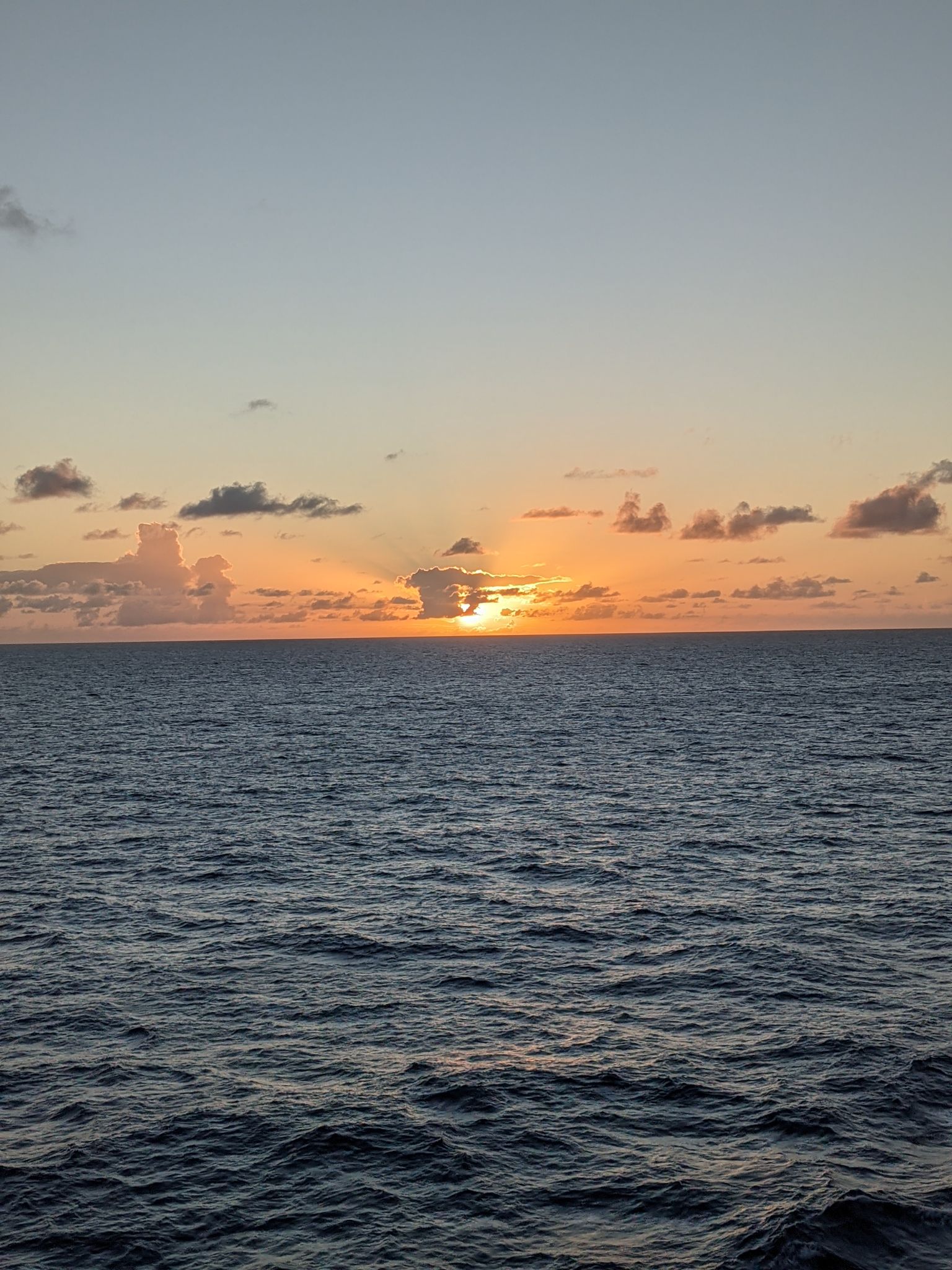 PXL 20211025 215002591