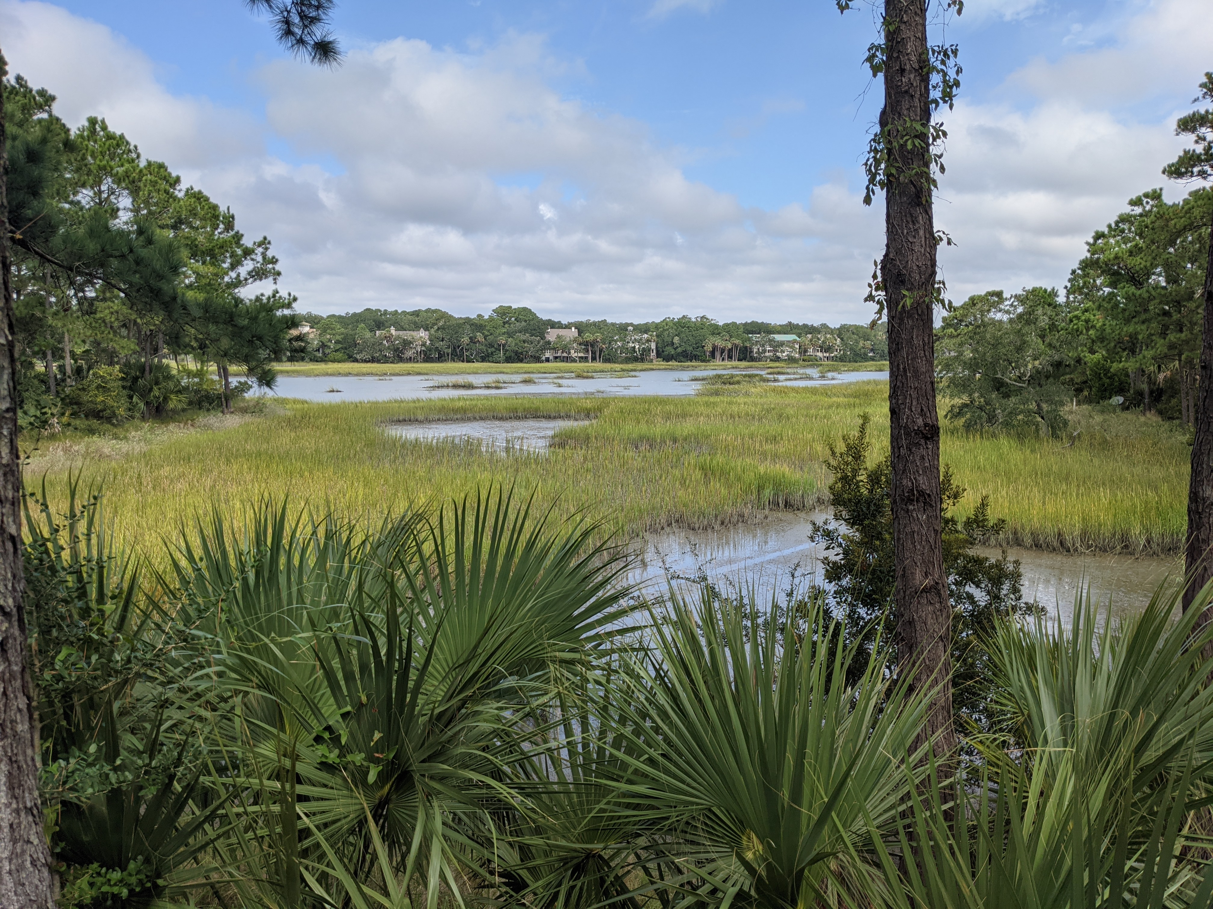 PXL 20200913 160002737