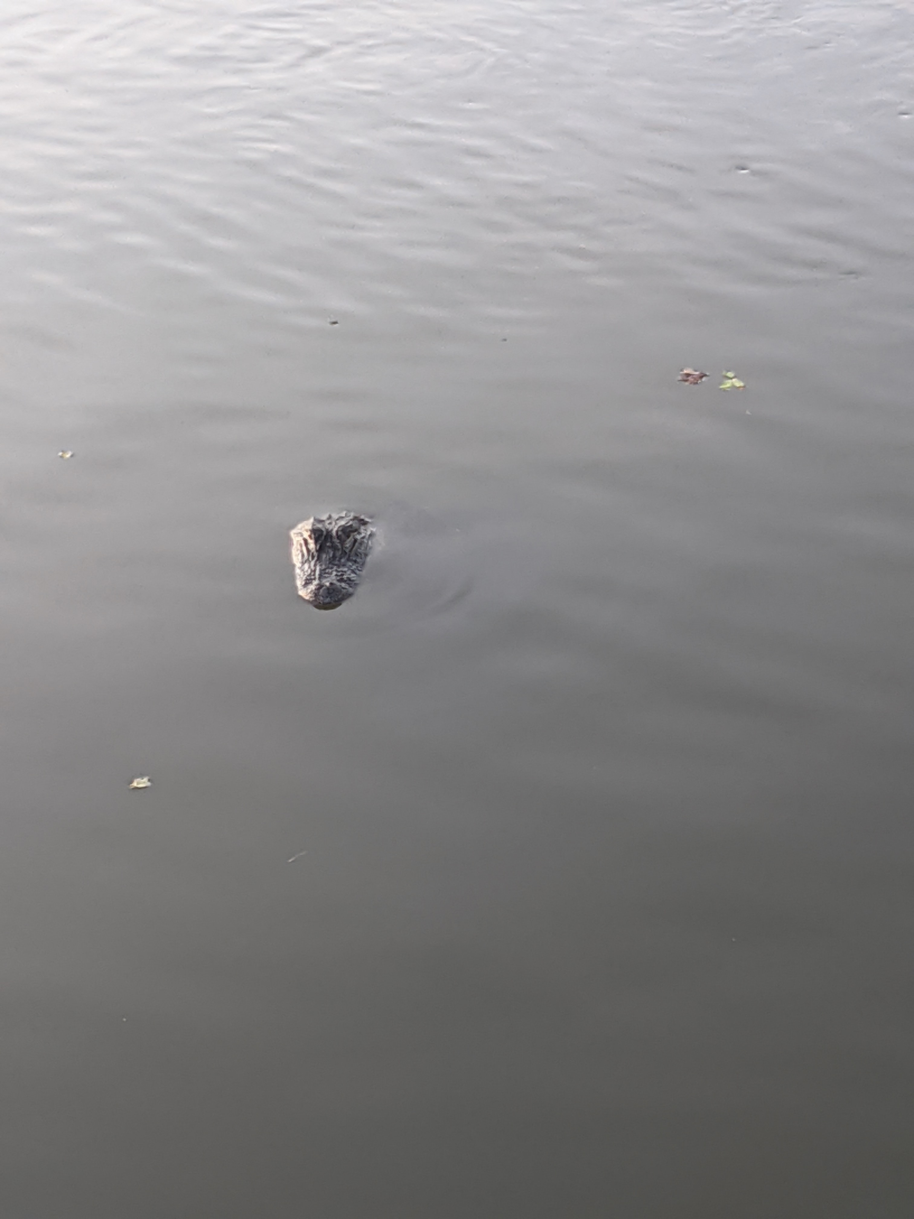 PXL 20200913 231457444